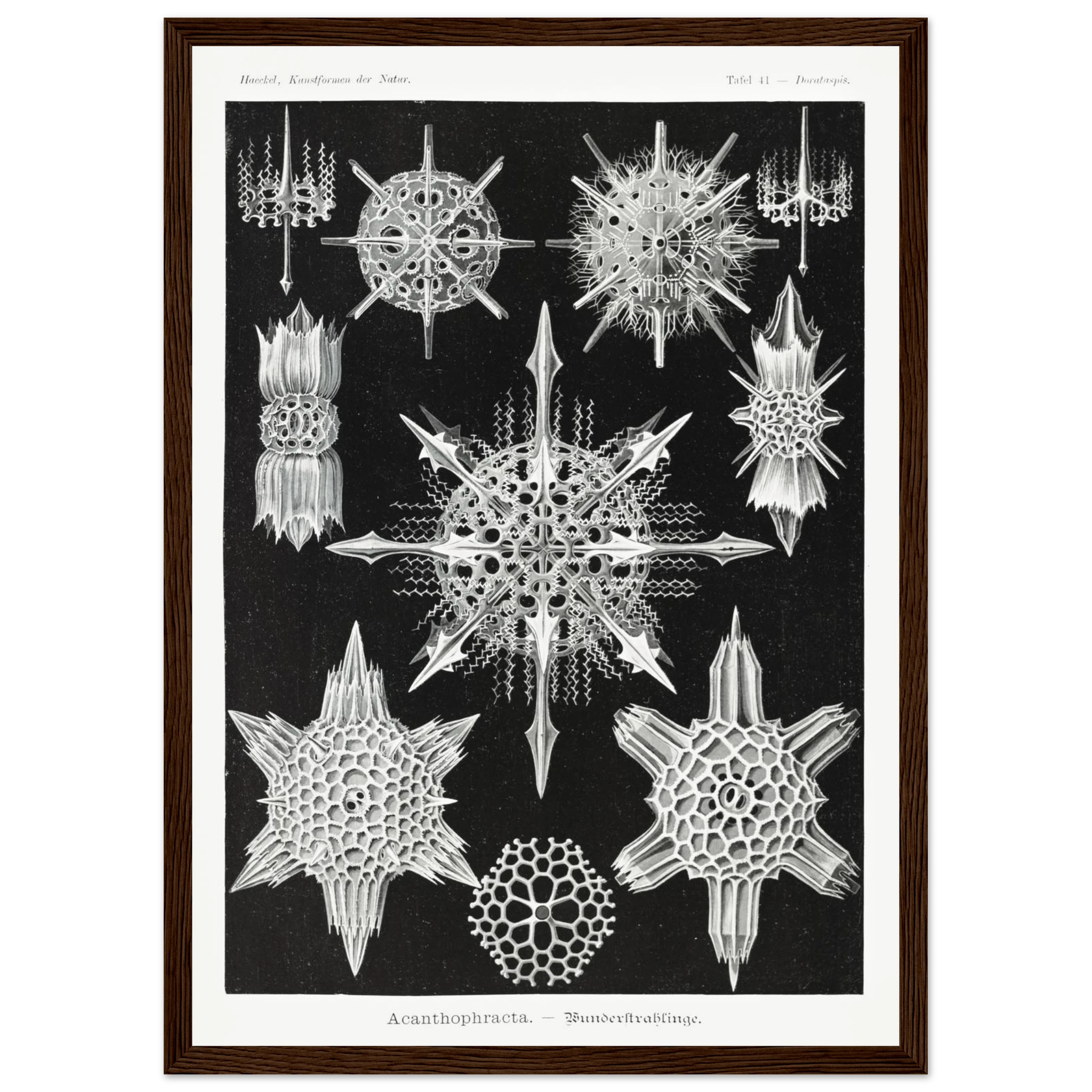 6b07751d-ed0a-4e6f-bb49-f36f9be91b5a