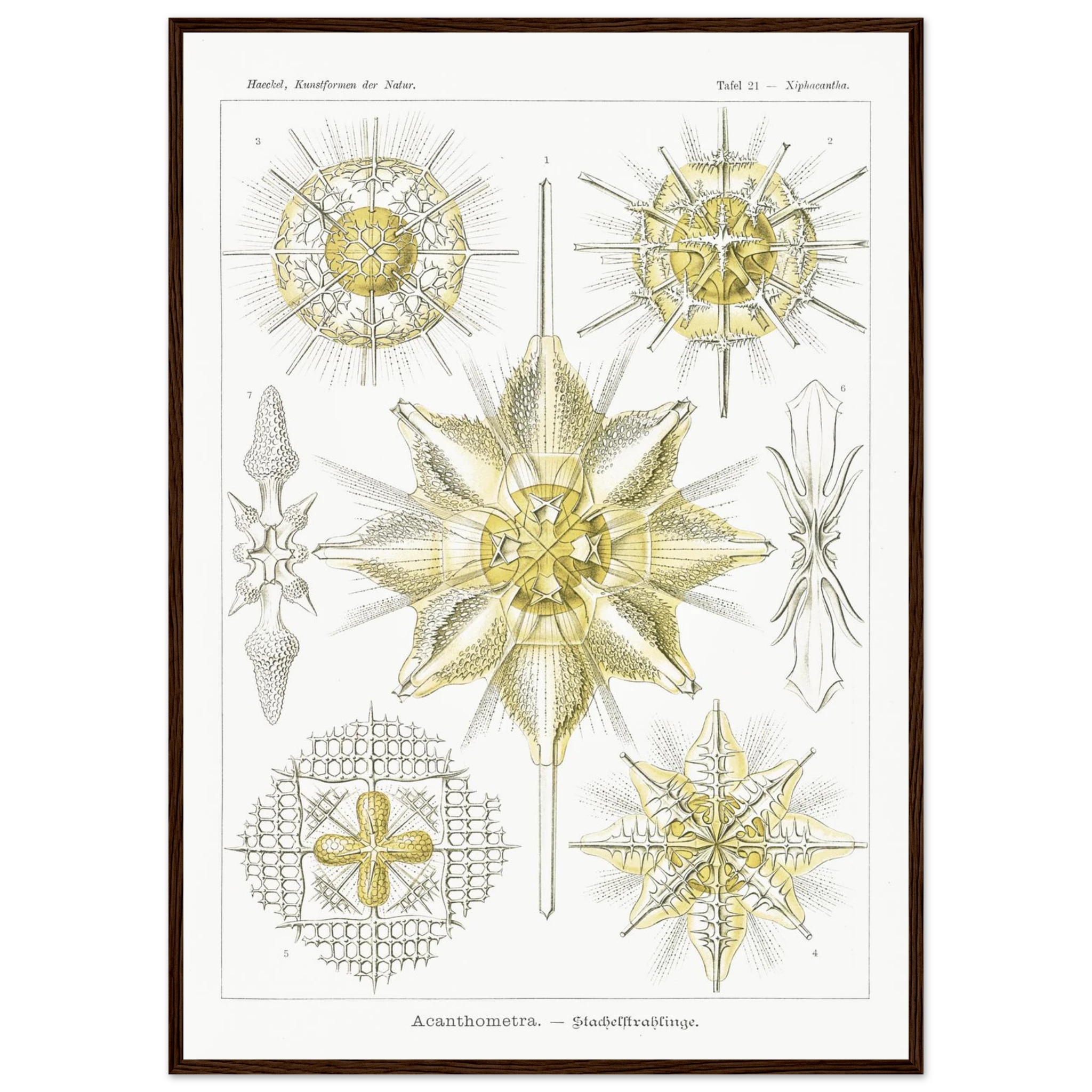 6b1fd6b6-e130-4c70-b246-04c1919d26ca