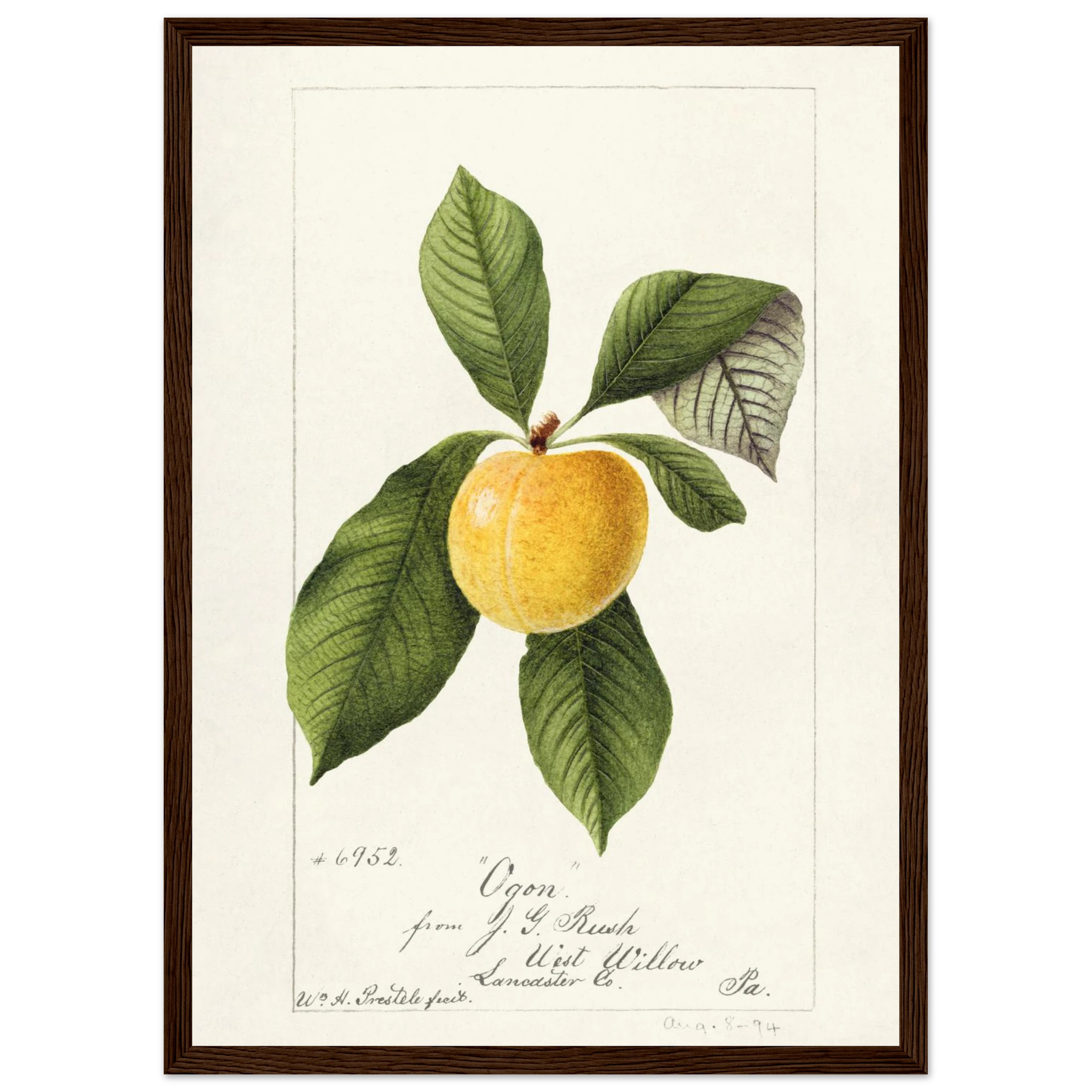 6b368ac4-c124-49e3-9e30-8a8c311dfde9