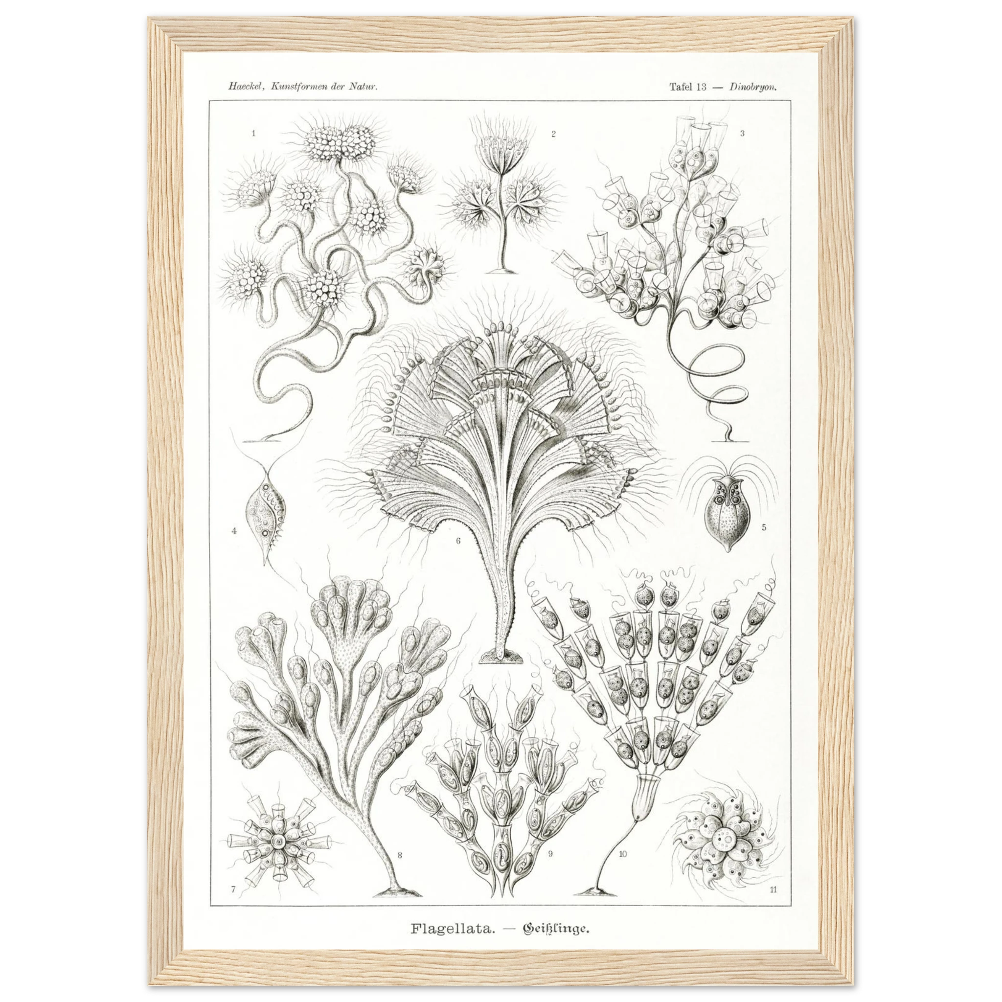 6b6a3b60-421c-4e0b-a0f7-1896797a585e