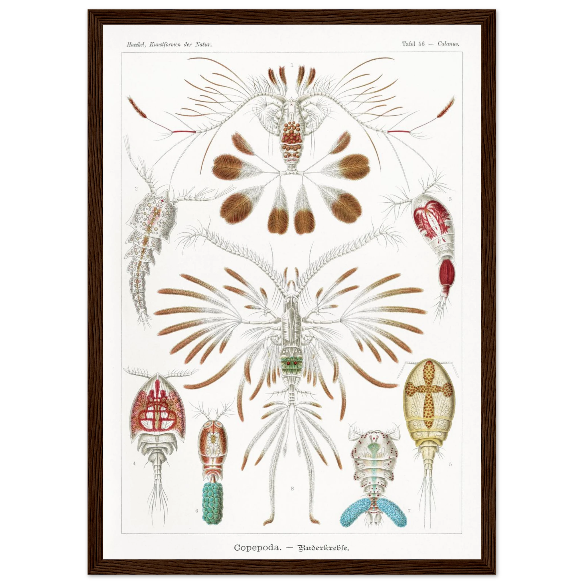 6b9bf5ba-fb1e-4358-9452-ae72d5408ffe