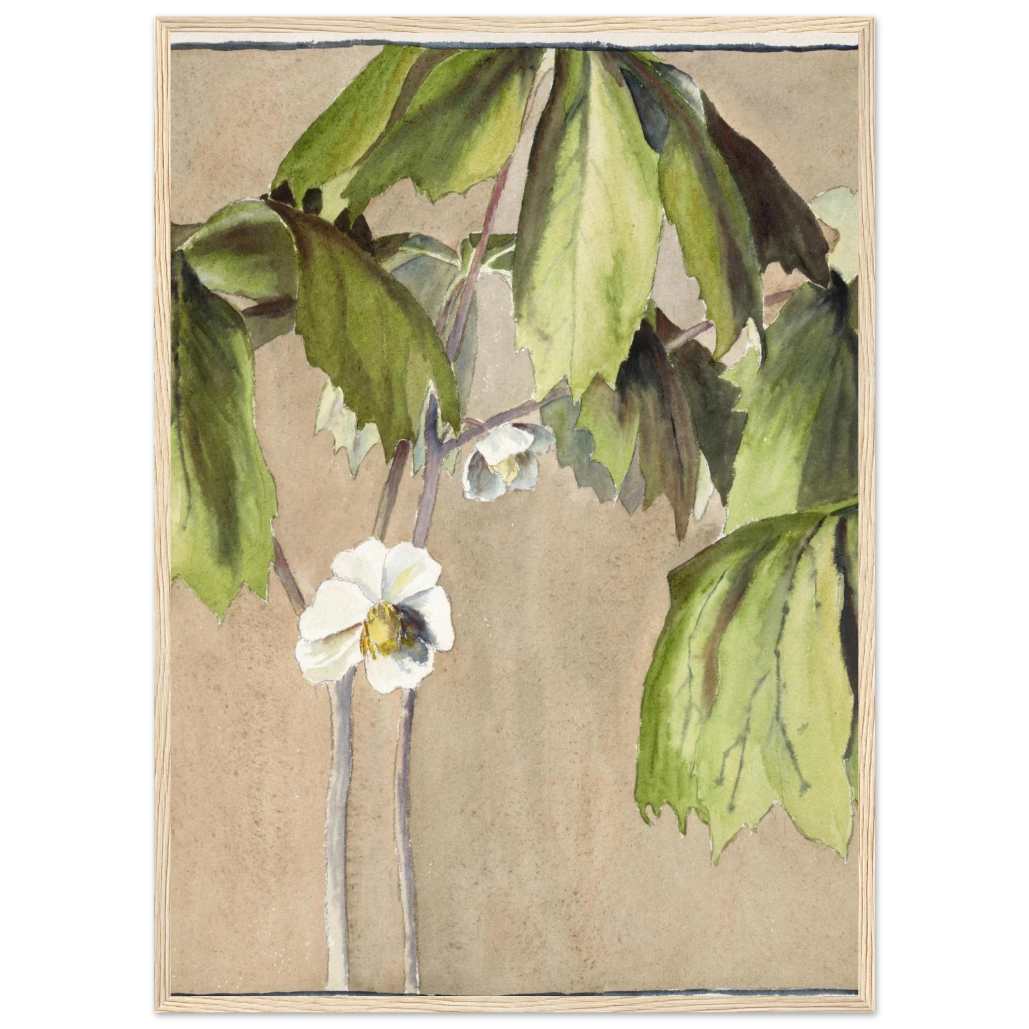 6c73c888-7769-4062-86e1-df8acedbe50a