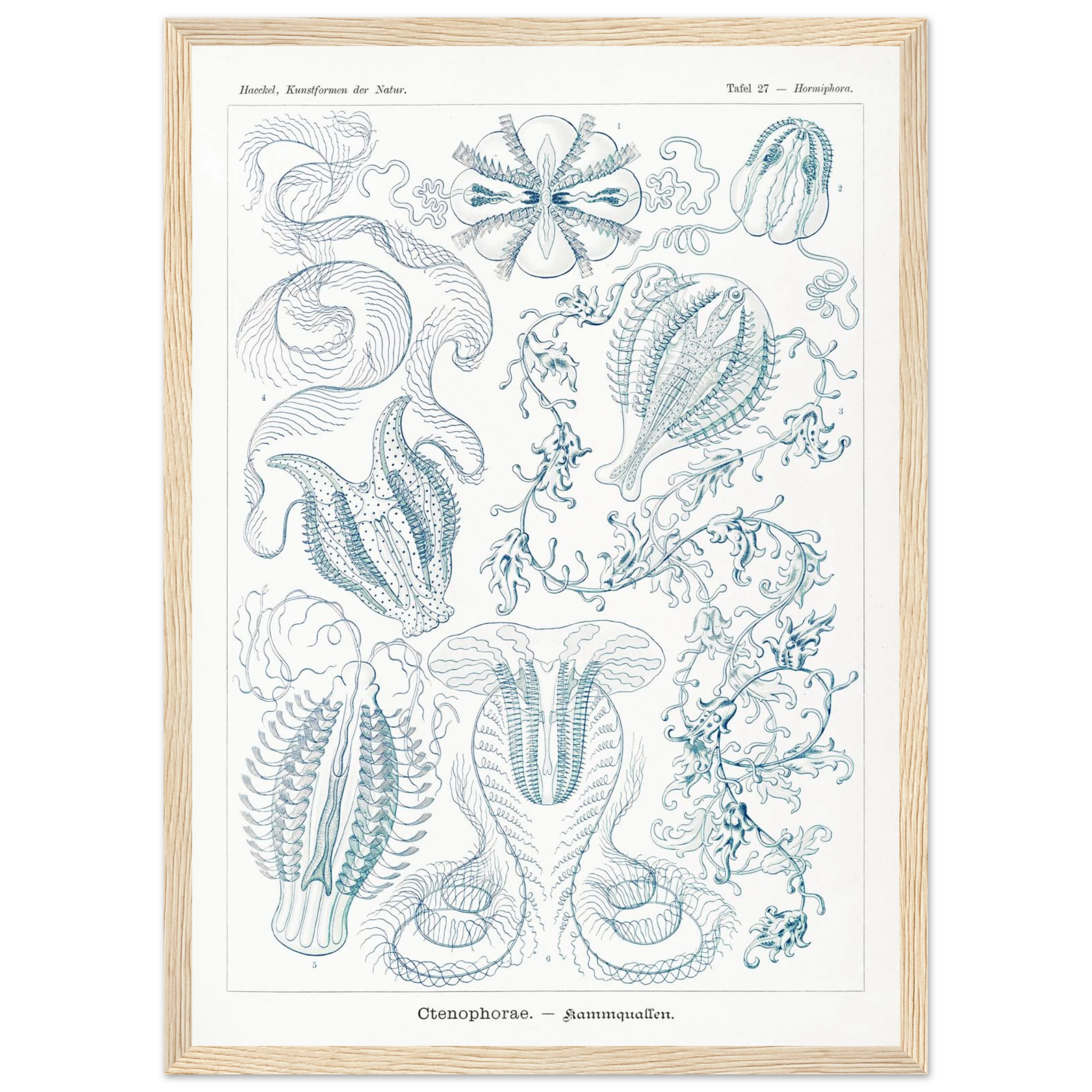 6c887e59-af89-4086-989b-532296ec7b99