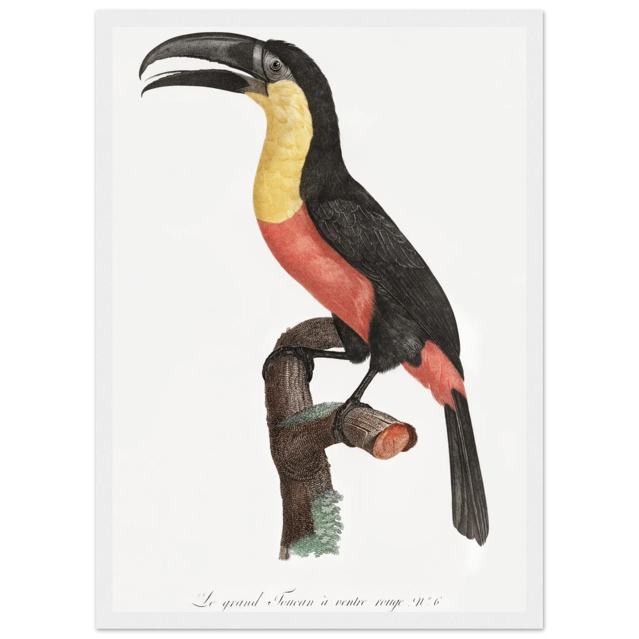 6c90e215-e6bf-4c13-a71e-962a80fb0364