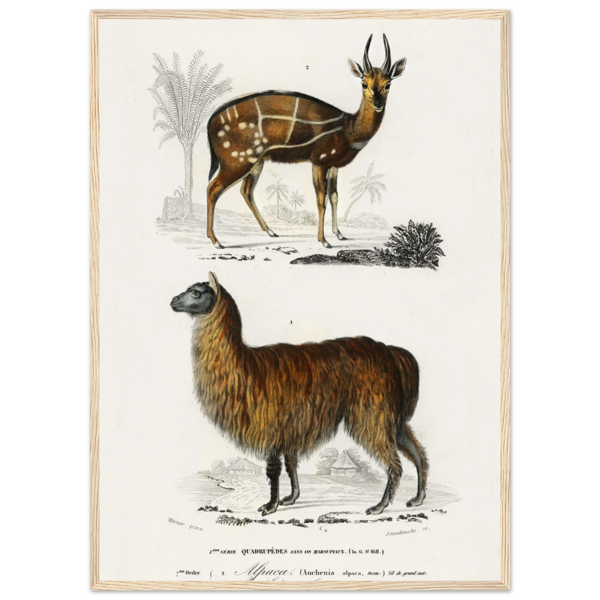 6cae5006-f3ee-4949-bf12-6d47a8ed4442