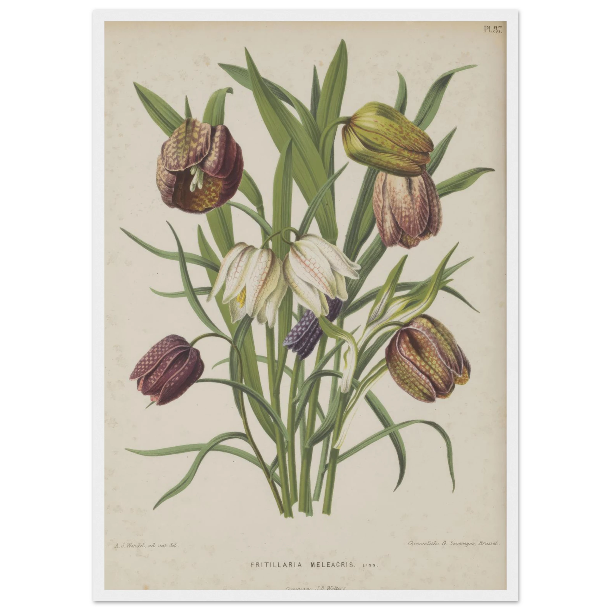 6cbfc16b-2d0c-4b06-9339-2ab9717c9dc3