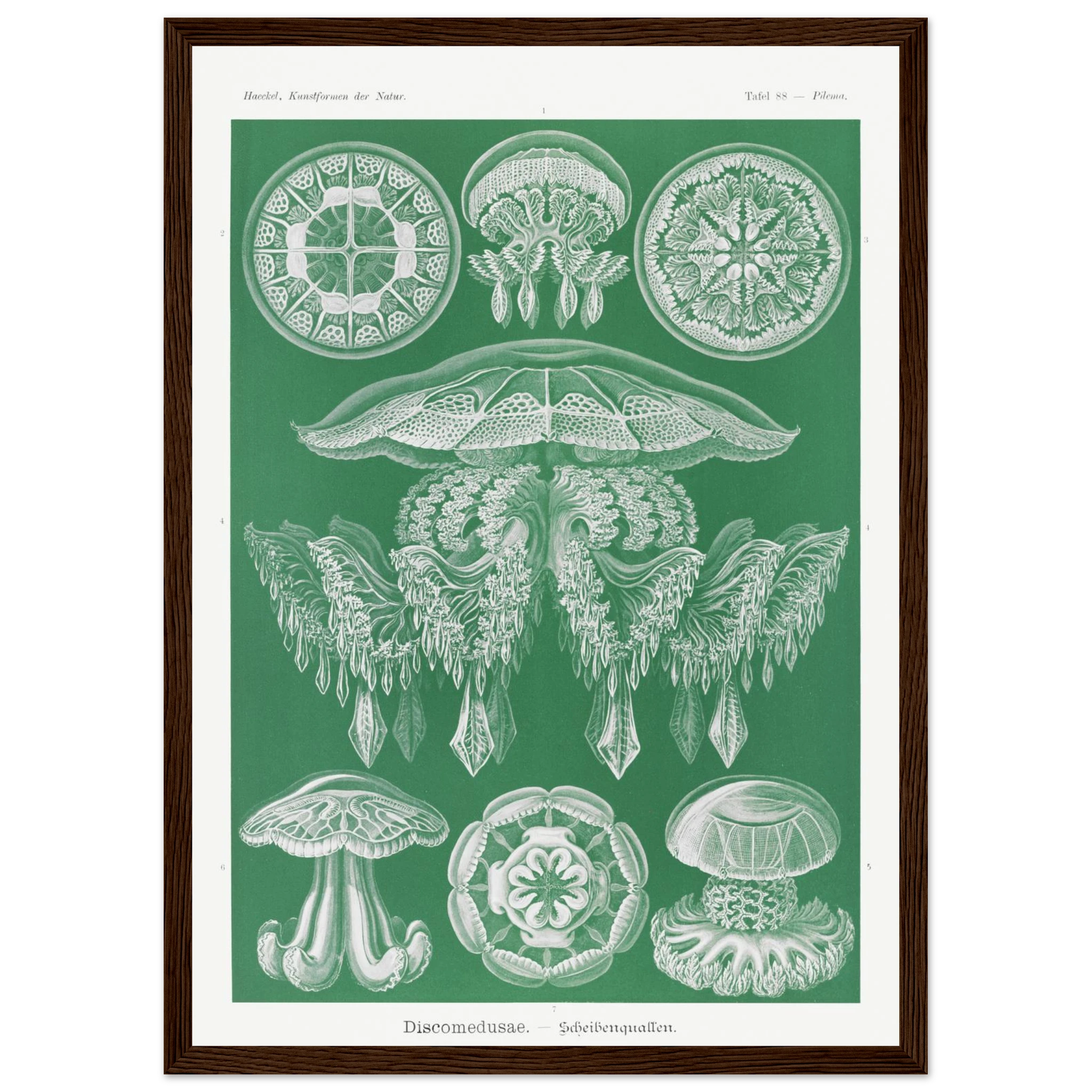 6d34255a-0230-44a6-a1f7-20226da87698