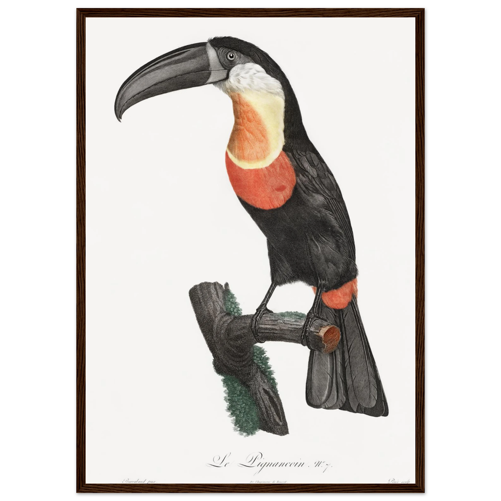 6d36fb72-2fe1-4c60-b2fc-03b744b61a0f