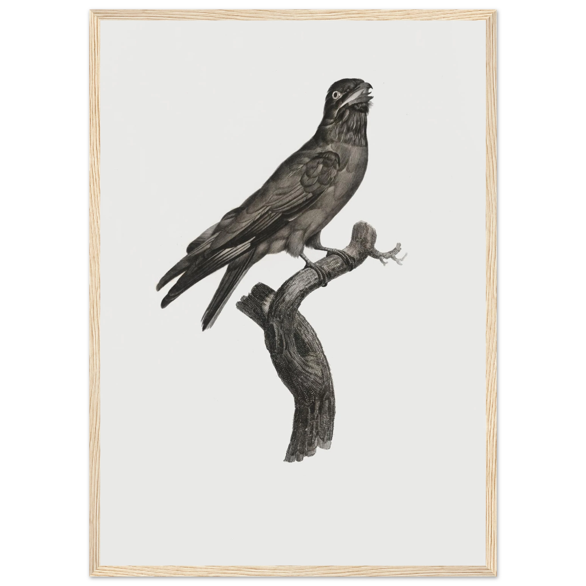 6d49af3b-8f85-48f0-ab1b-f455304511ec