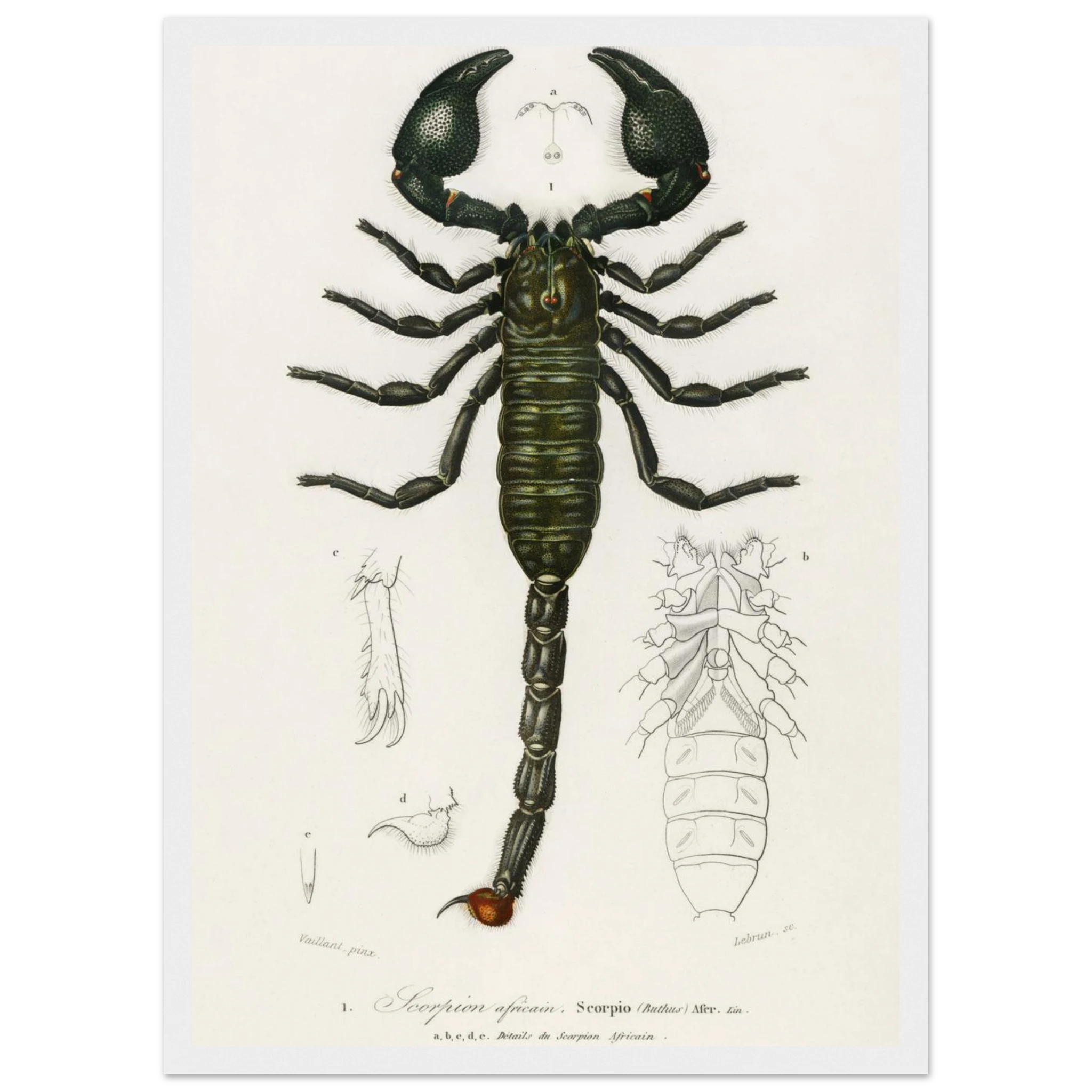 6d4e67e8-70cc-4980-a452-0c62447aea50