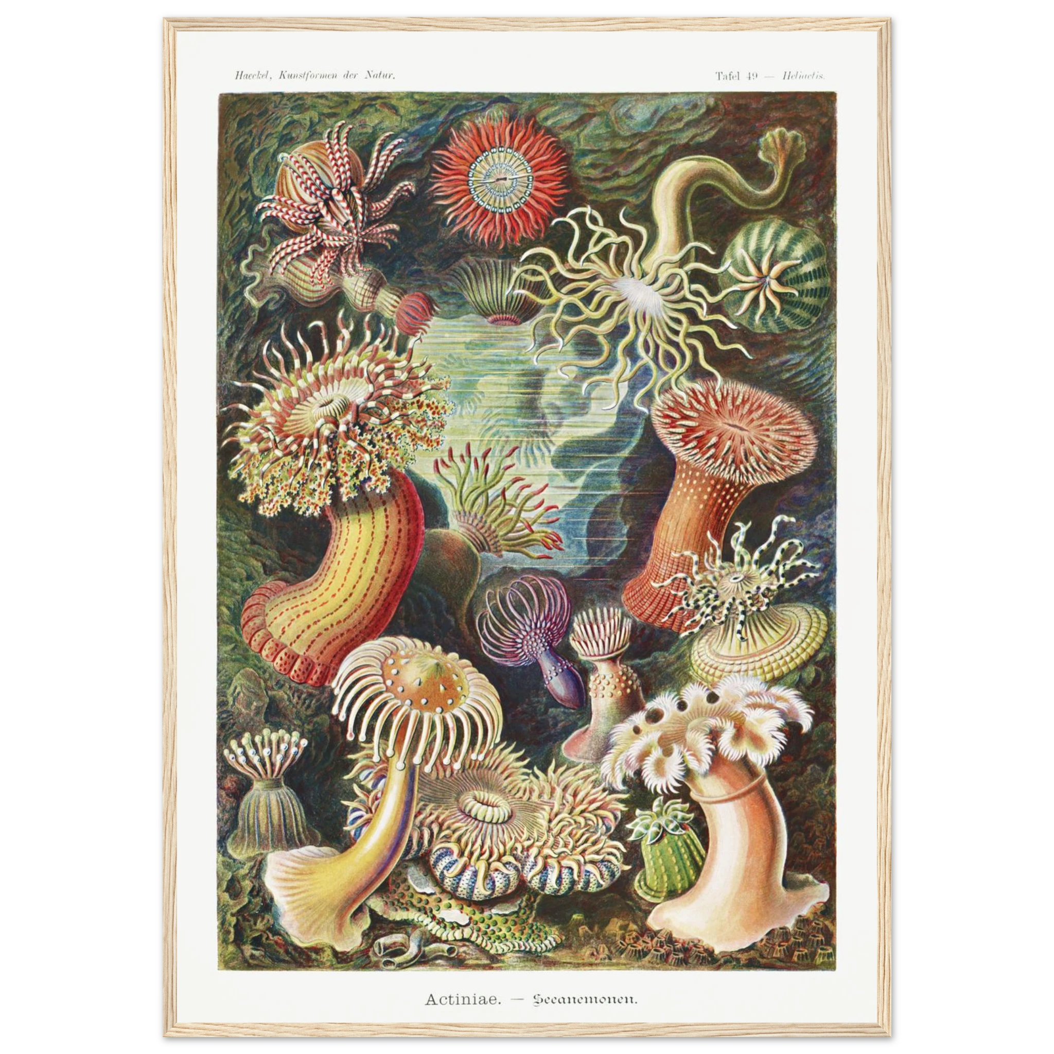 6d526dc4-6e1e-4ef8-b81a-2ed1b6f589d2