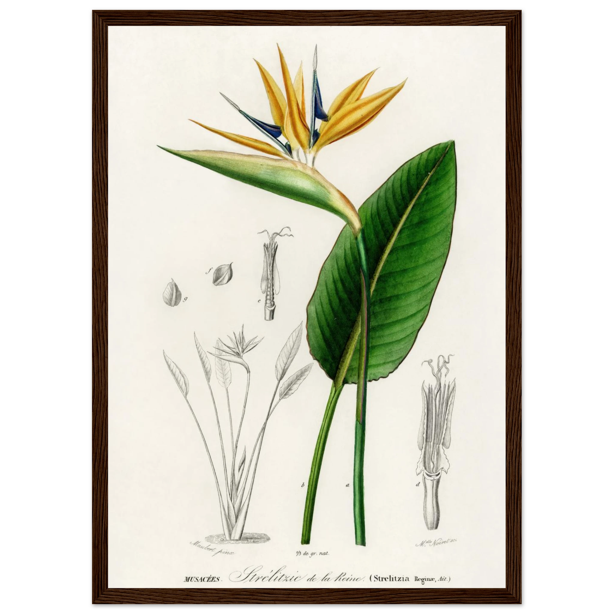 6de5625b-e612-42ad-9680-e25ea84b8acd