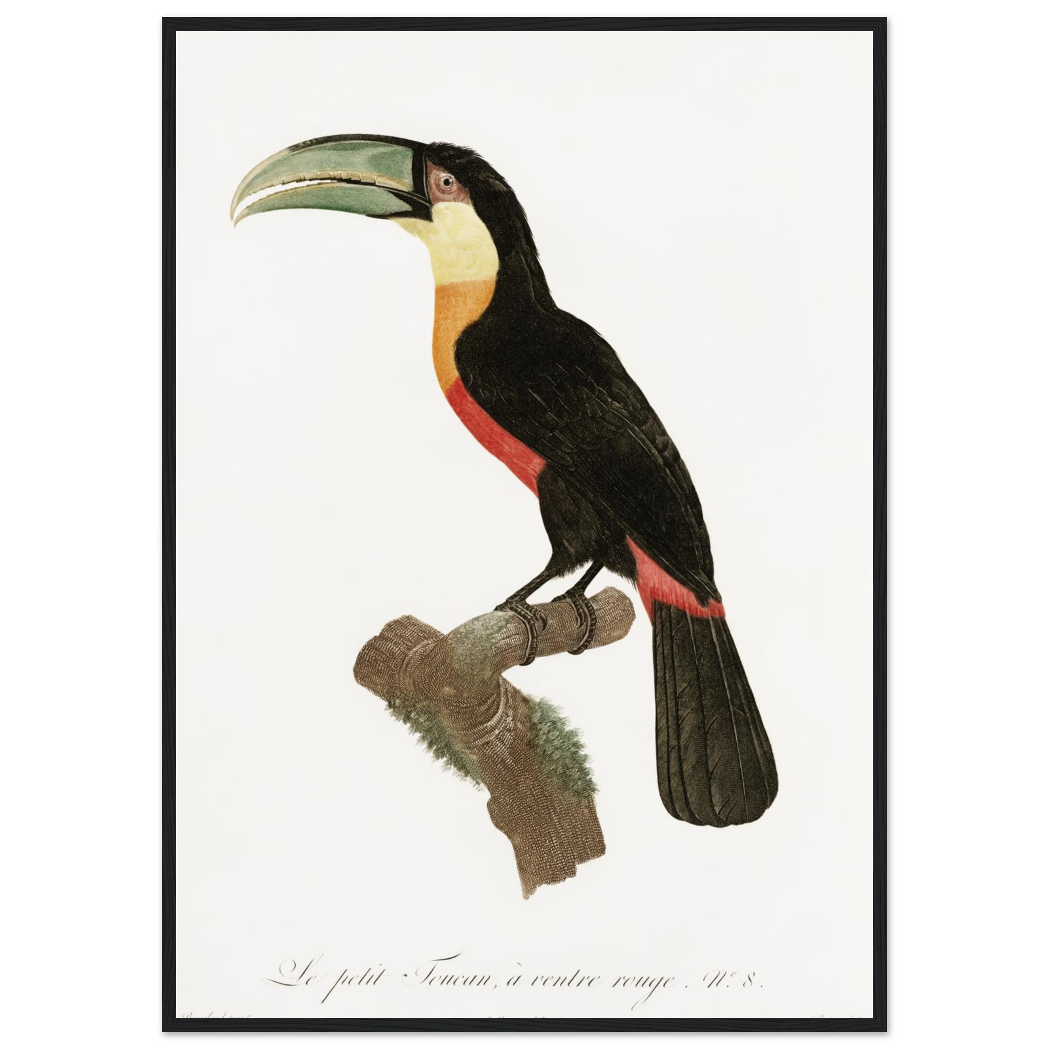 6de843df-f75d-43ac-b78f-9b30fbb21974