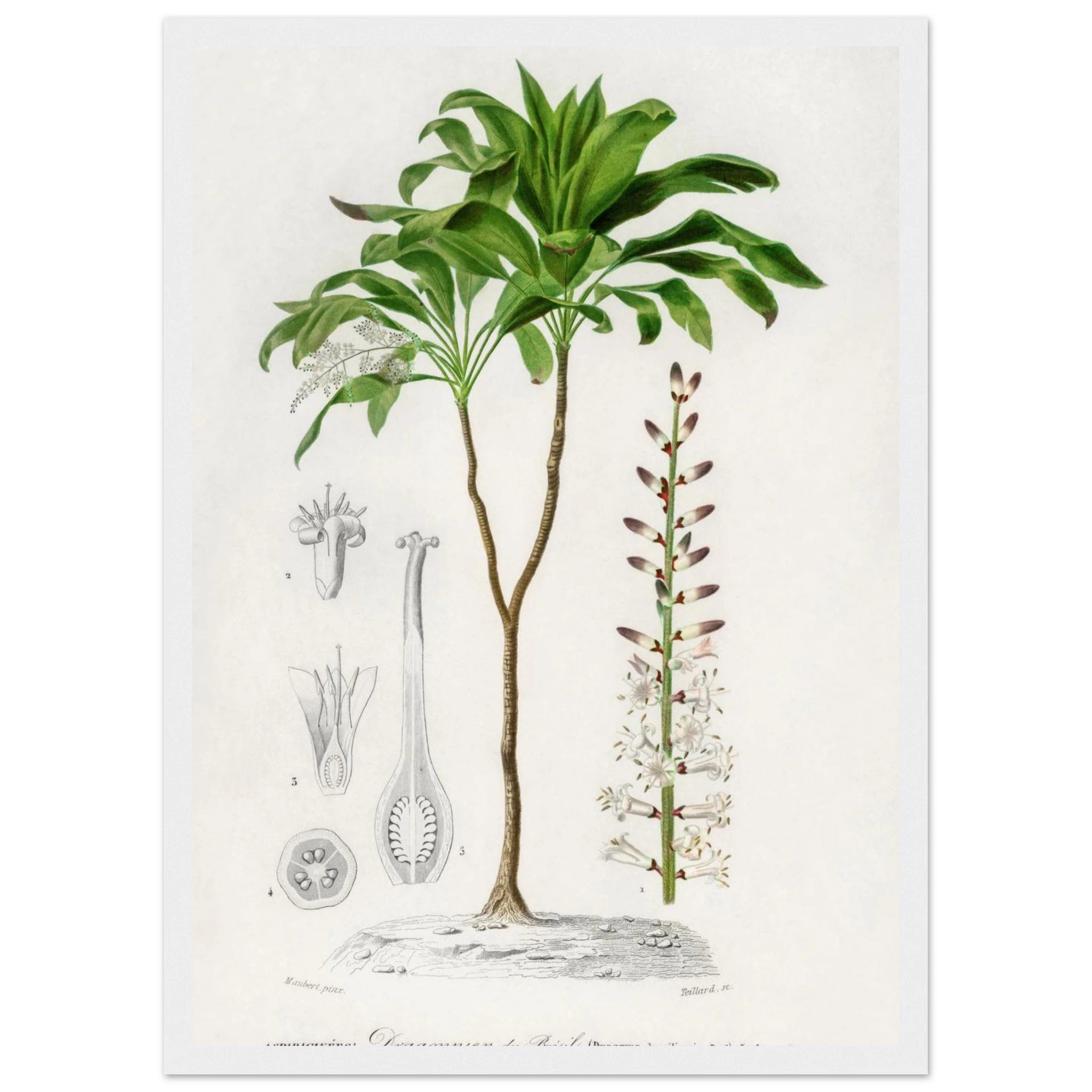 6df28e48-31f1-4bad-8b9b-e43b5fad03f3