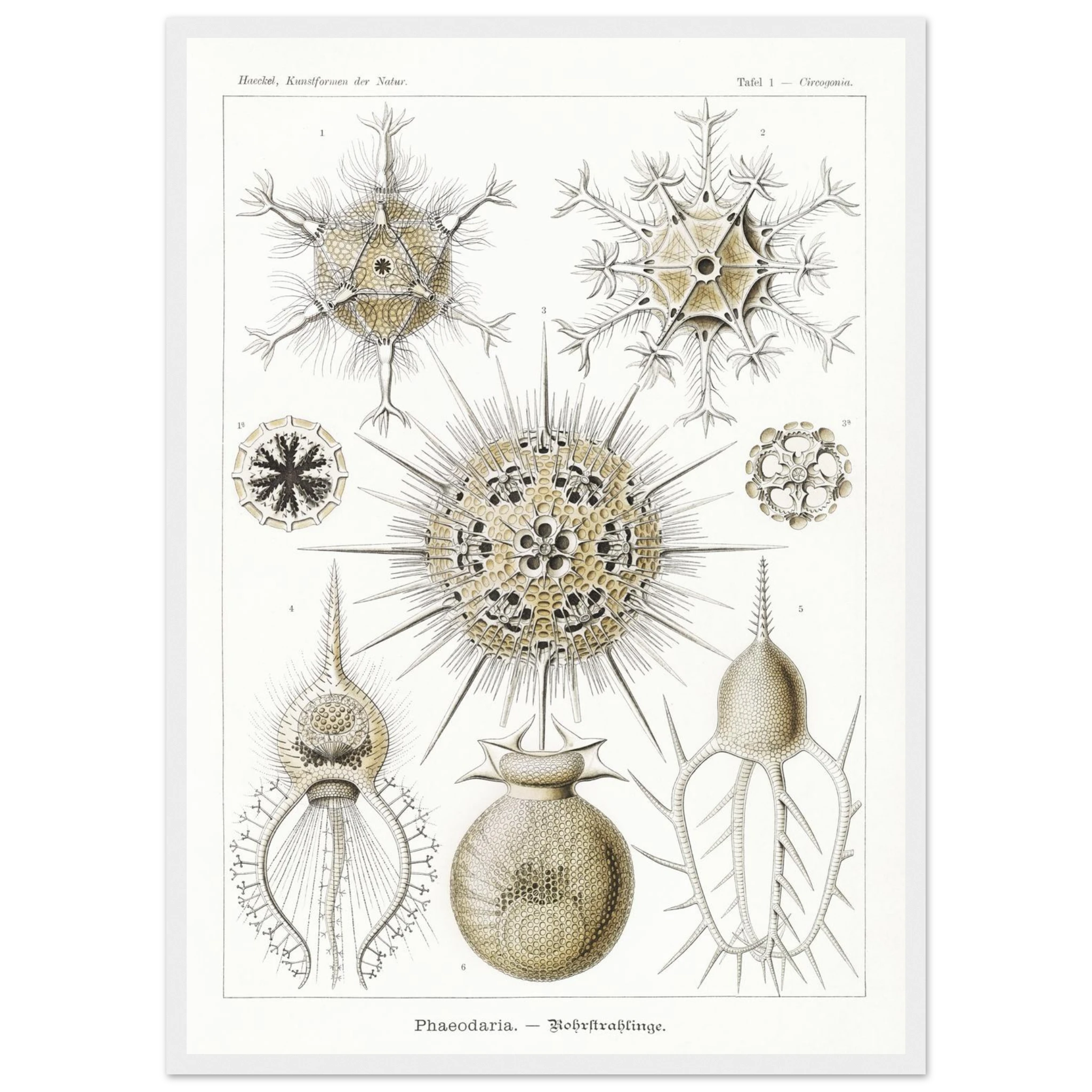 6f0015f3-c187-44f6-93cf-b0da81863cfd