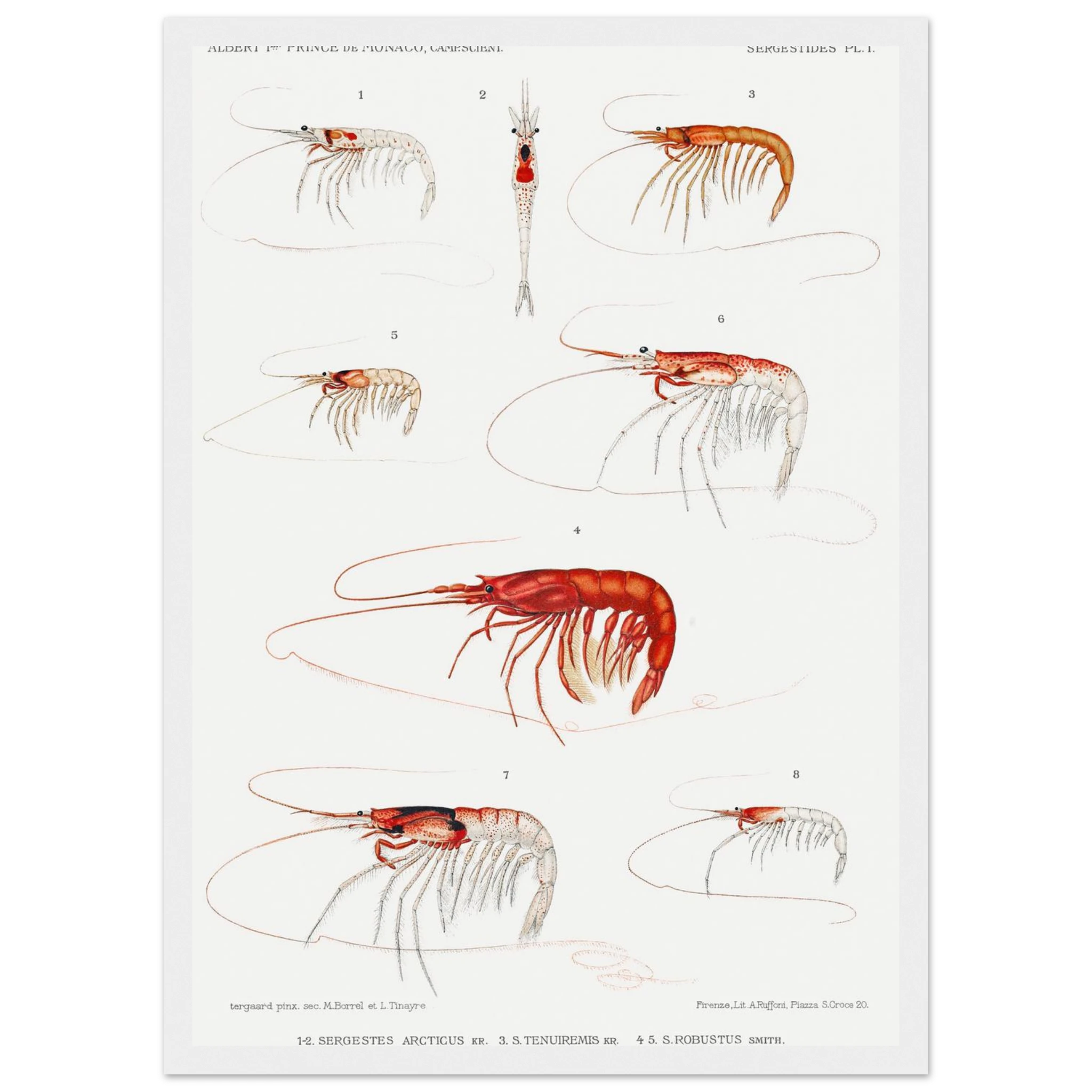 6f1976ee-e154-42f4-8899-d0e5ef587ab2