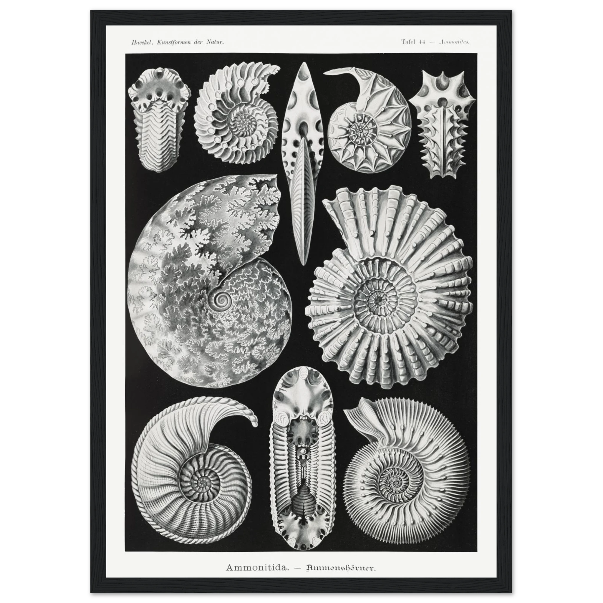 6f6c38c1-d33b-4565-a16c-8fe40c8f98a4