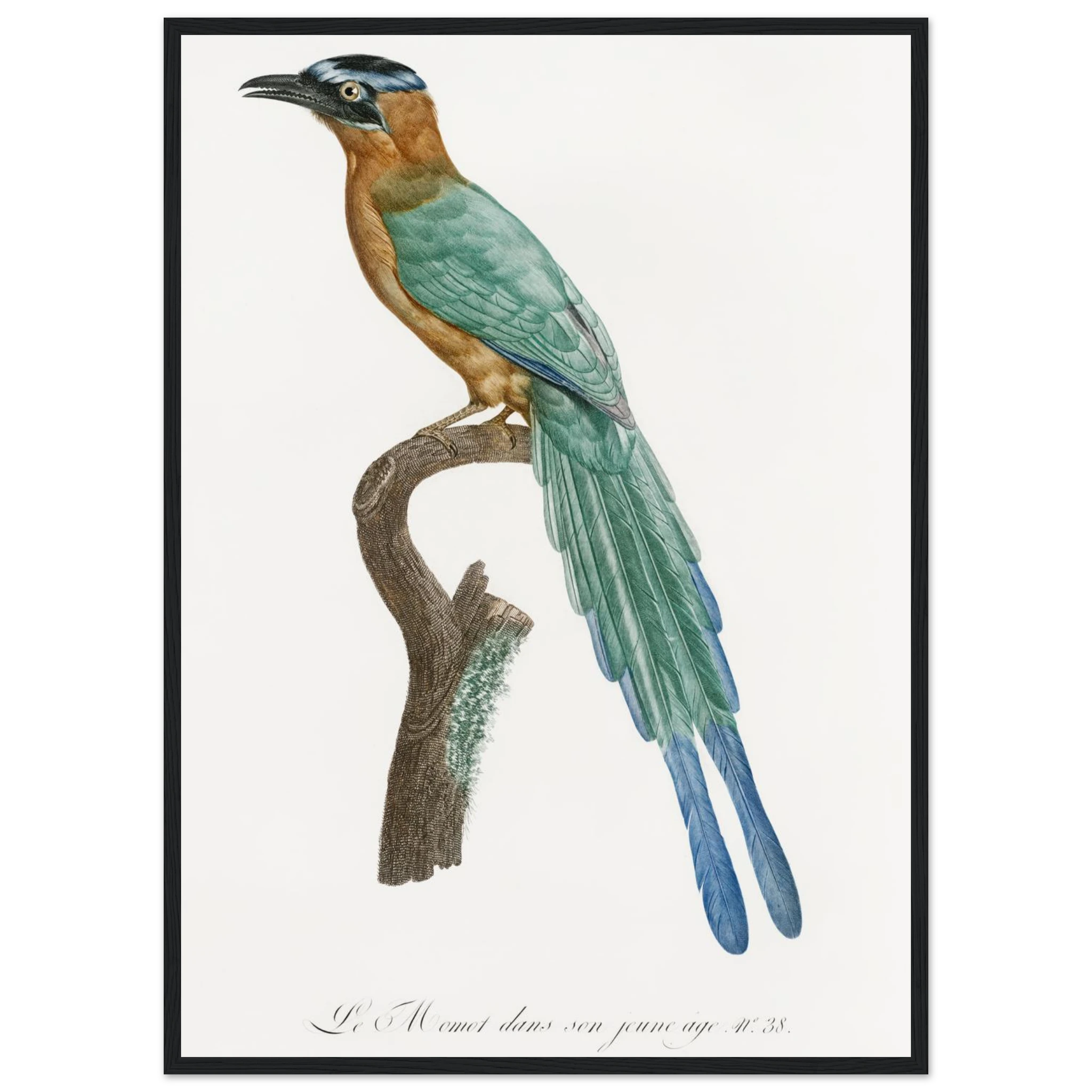 6ffabb60-4071-4050-8c4f-88432cbd7aa6