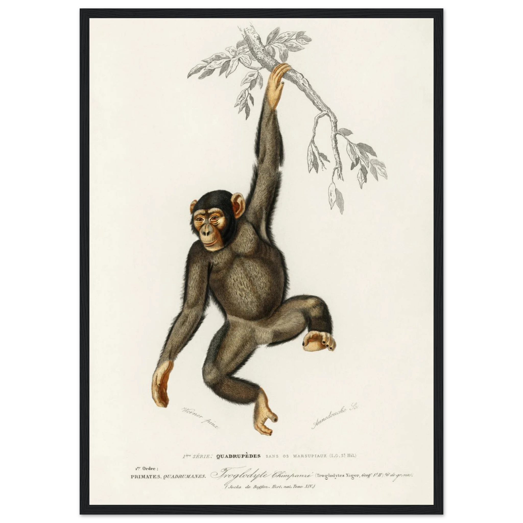 704d3c0c-300b-4abe-b329-9b9cfdd83cdf