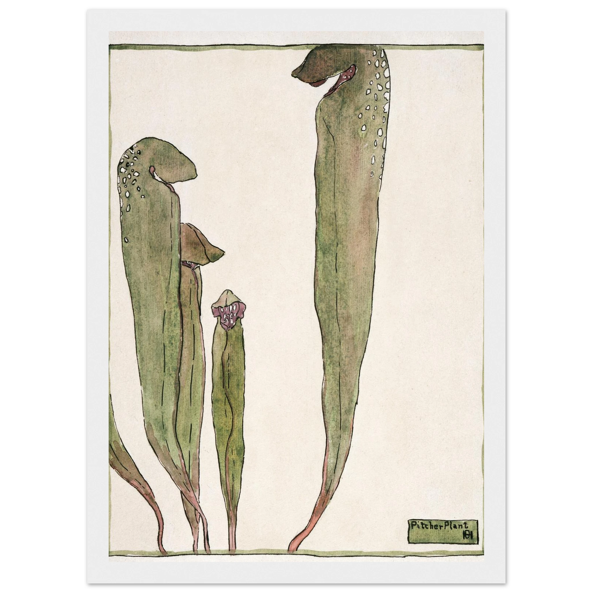 709596ce-fcf1-44a8-9d69-fe2a7250cb42