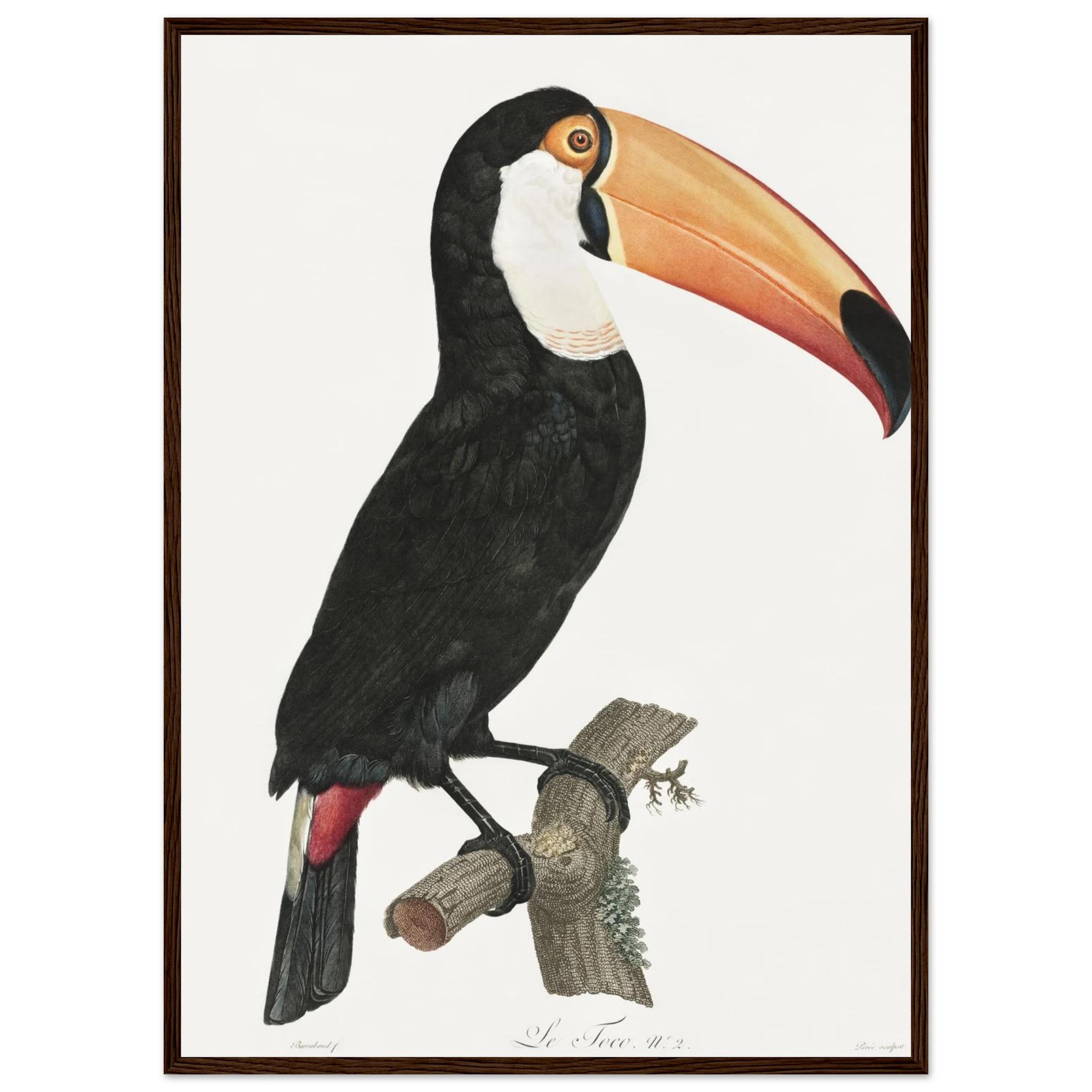 70aaeeed-5499-4eff-ba0a-577ee050688d