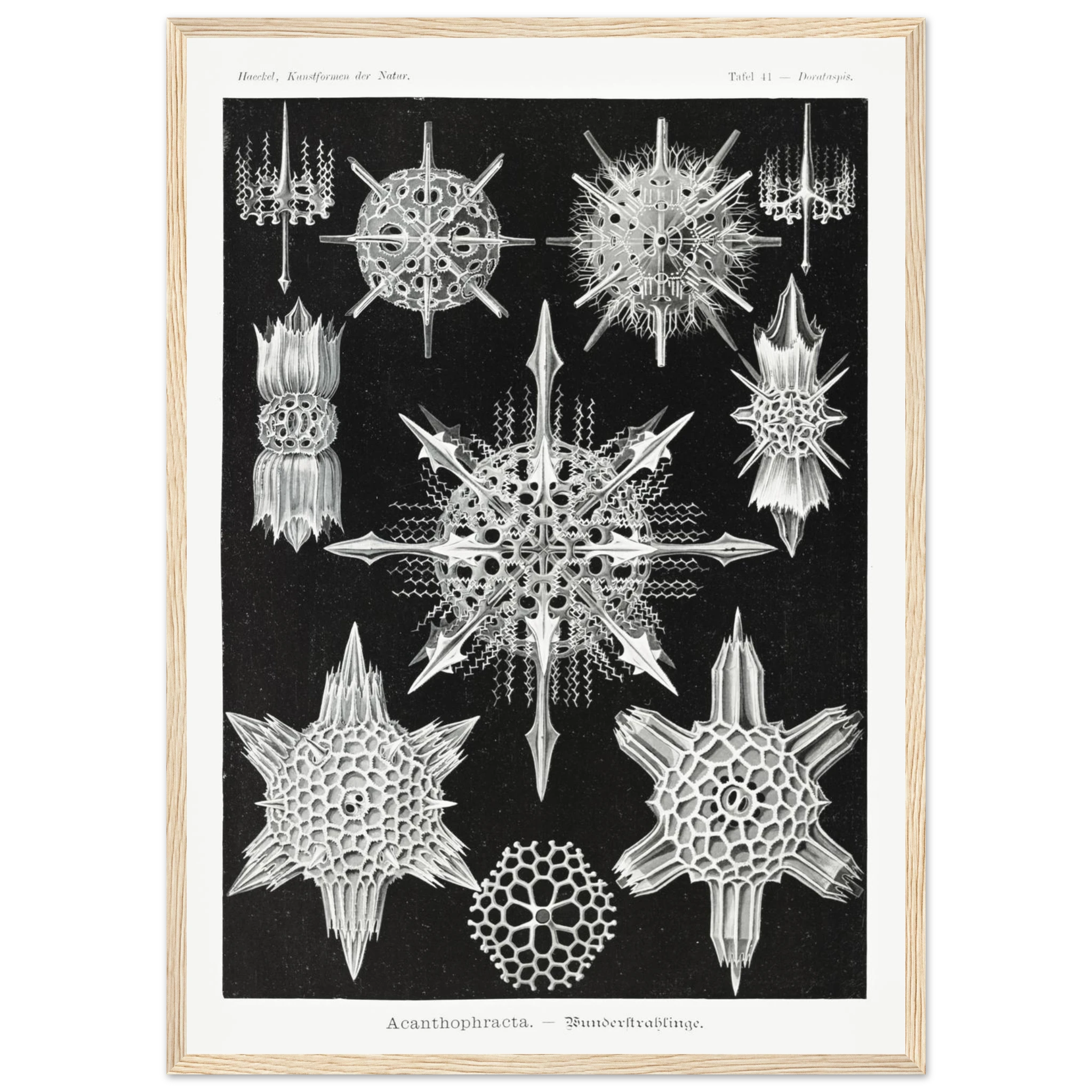 70c424a9-169f-4877-a412-3a131f68fdbe