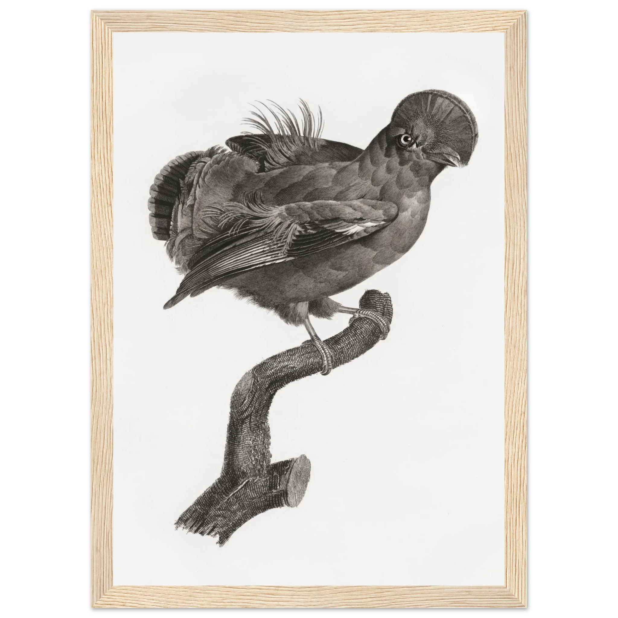 713654a2-8aa5-4db8-a7dc-43487b704ef8