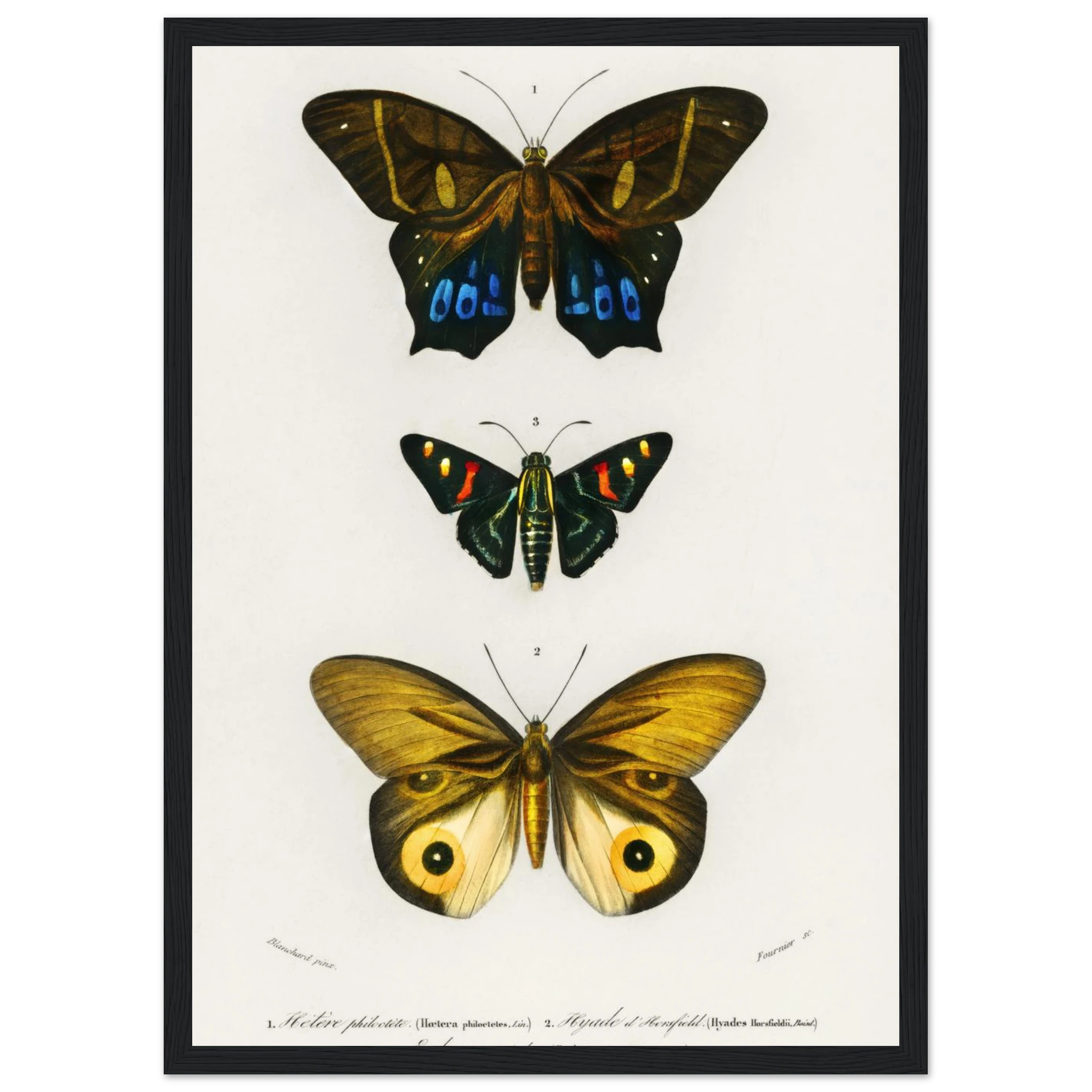 71d26a3d-7c2d-4620-bea1-b3b883f7d52b