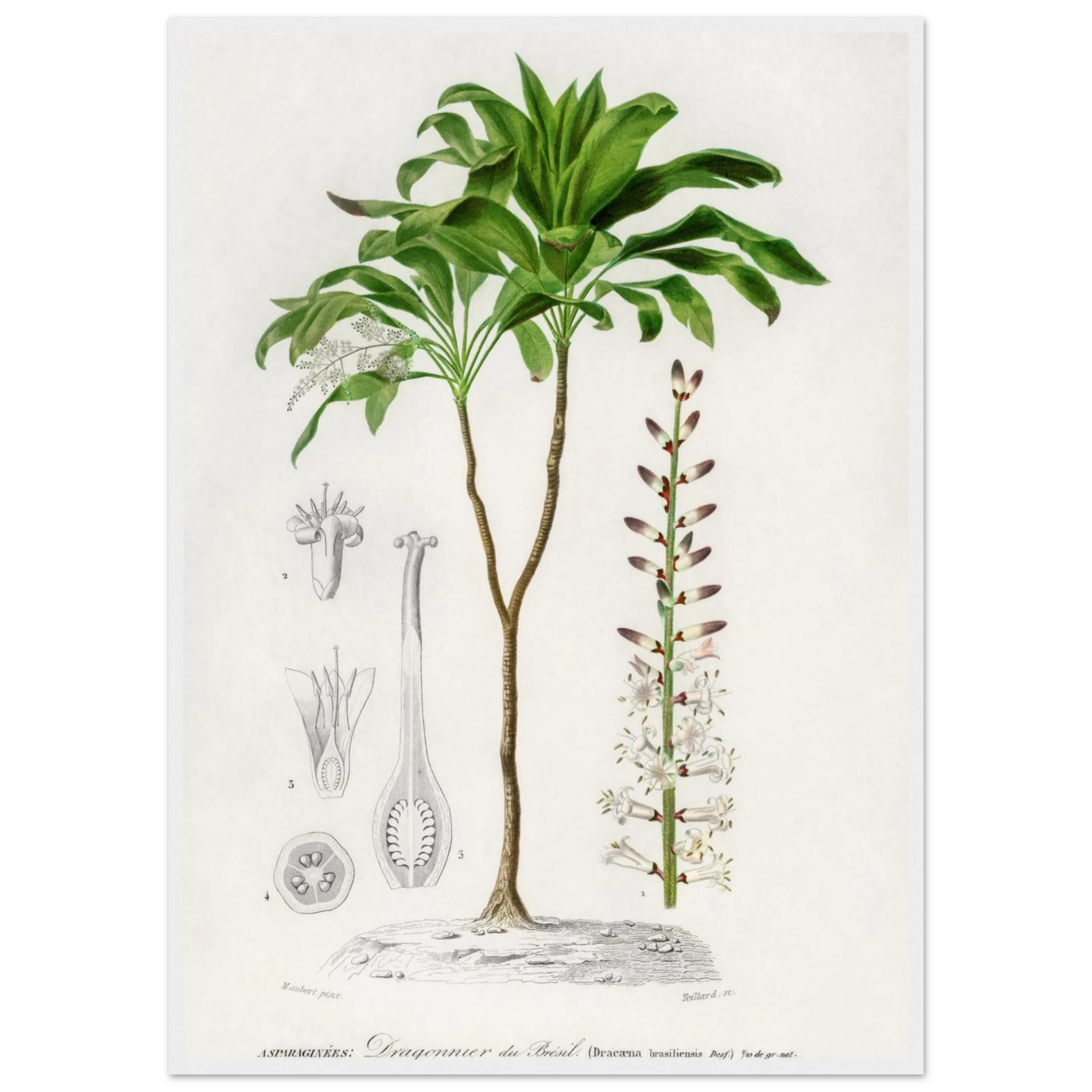 71deb343-226b-4e99-bdb1-4b59ae8a2cdf