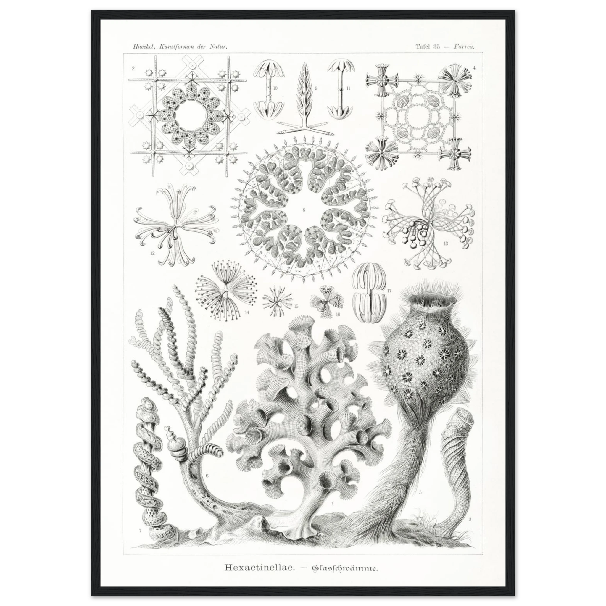 71e1335b-07de-4e86-9a47-f0b264116c94