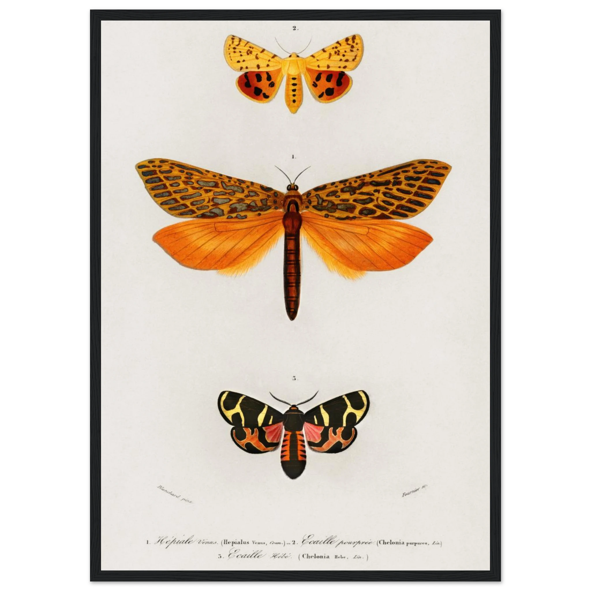 72487258-d357-4c05-b7b1-c9a547ea46a8