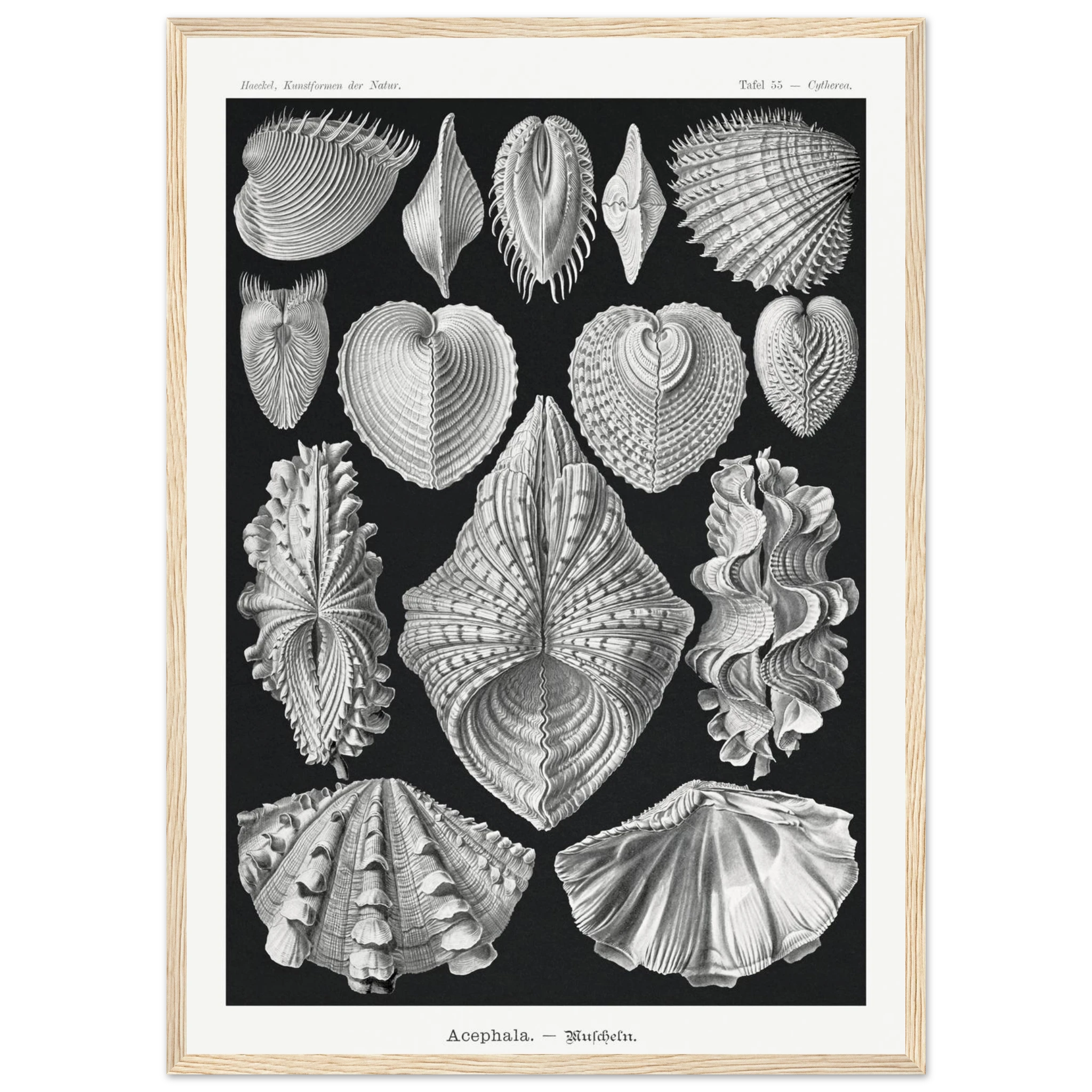 726ee267-8f8f-4490-b95d-fd803f6d700b