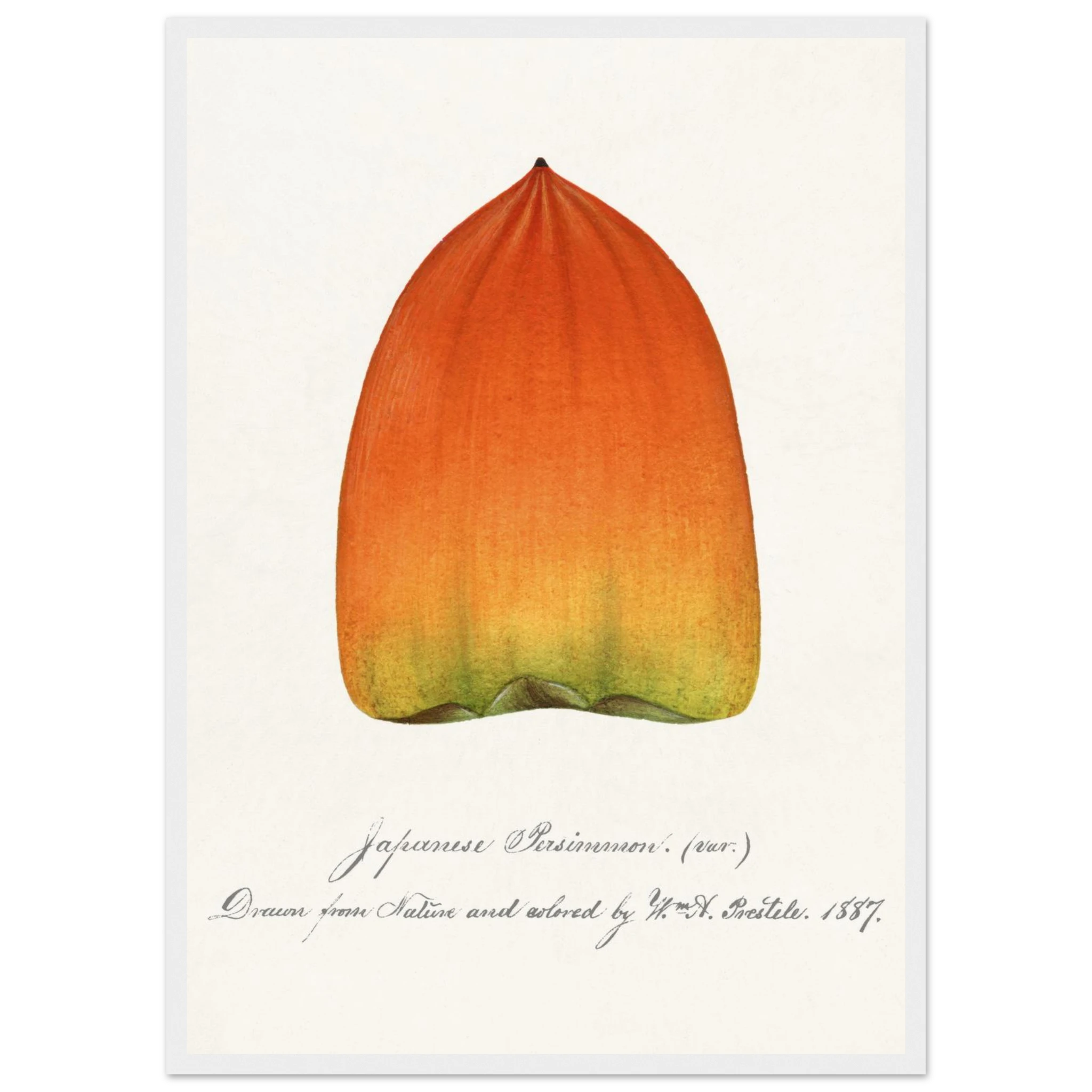 72927318-a946-4a1f-8a73-3833bebaef0b