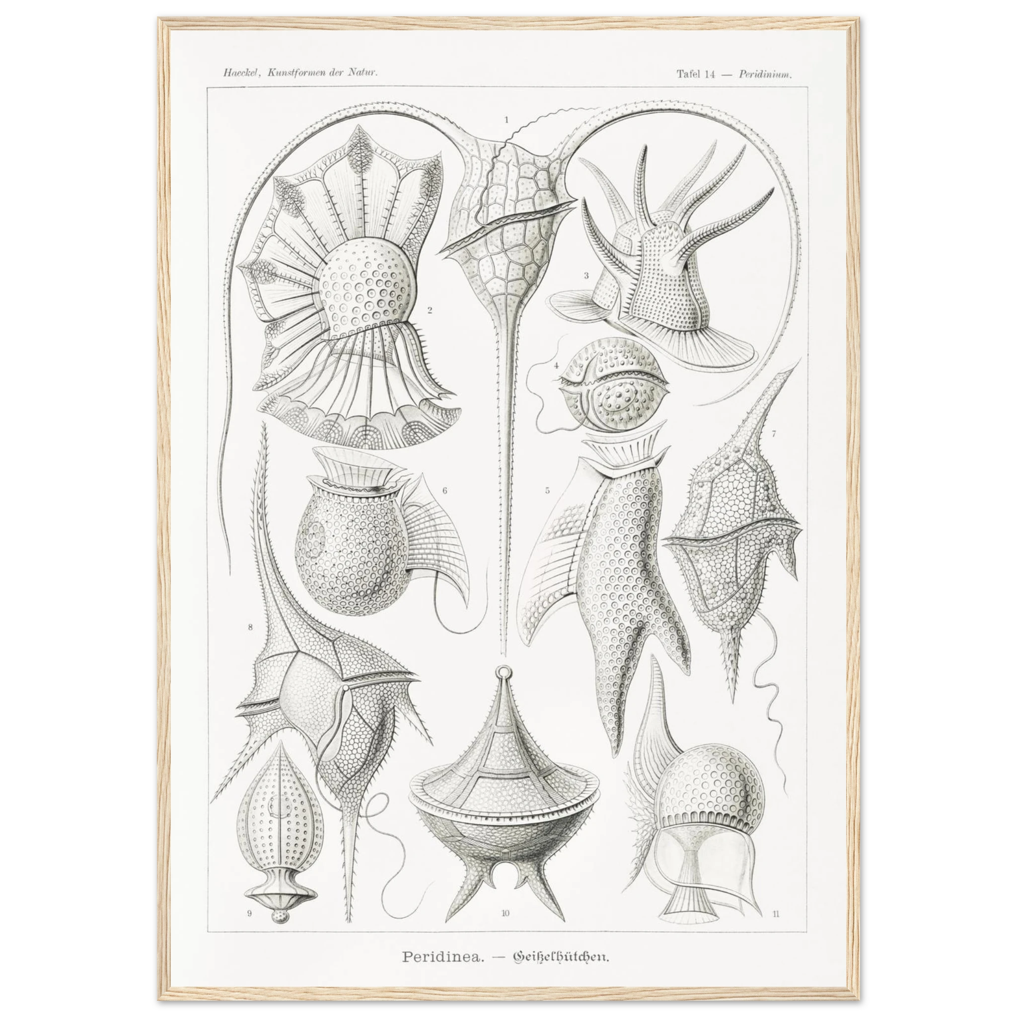 72a01d12-9a64-4144-9e0c-ac932b6b76be