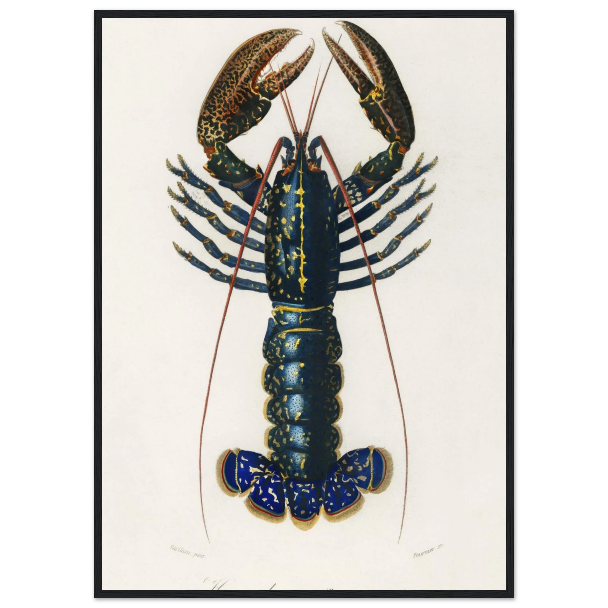 72a8211e-0d76-4acb-9cd3-30a712083e9b