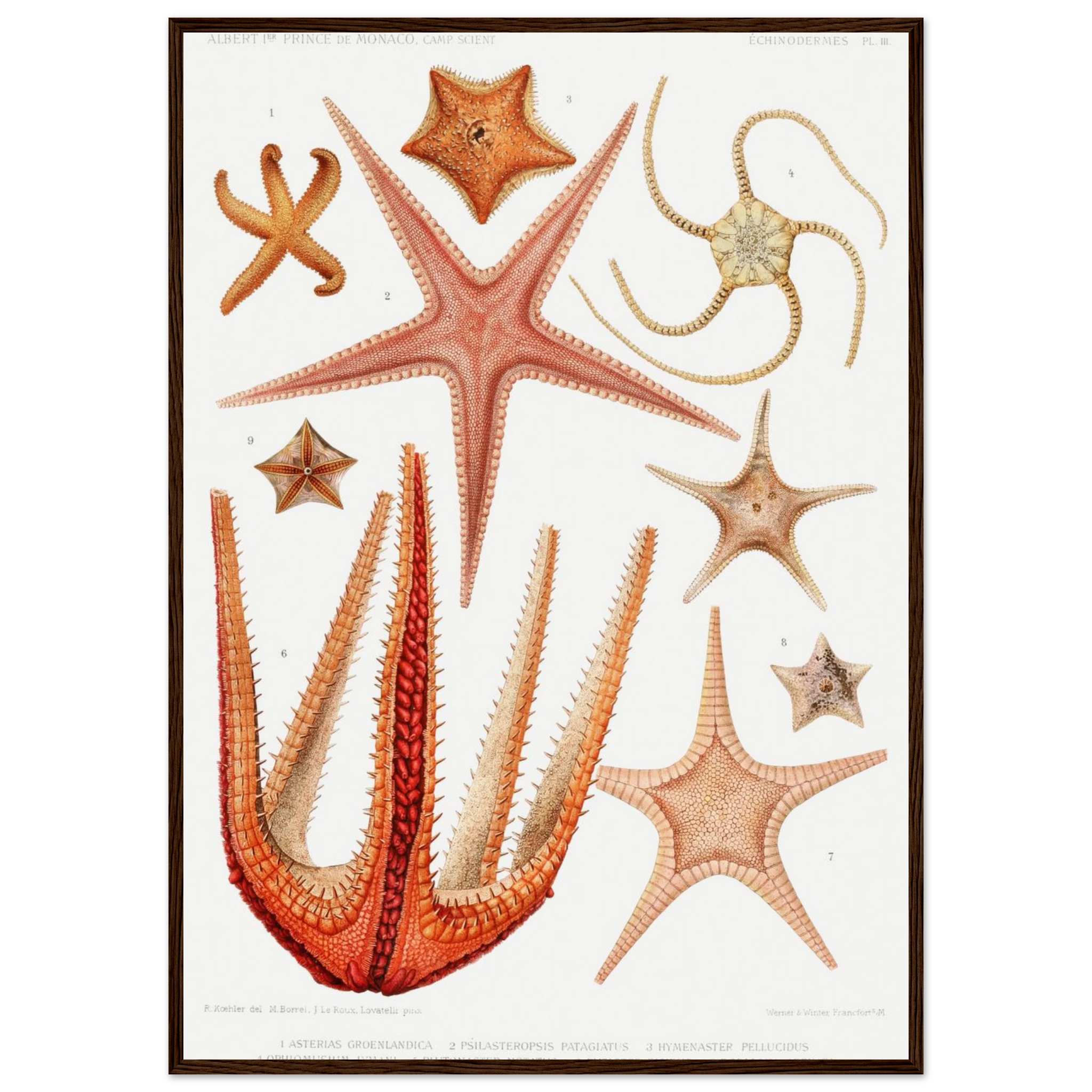 72ac82b9-f0e3-45ff-9c94-f11b225102cf