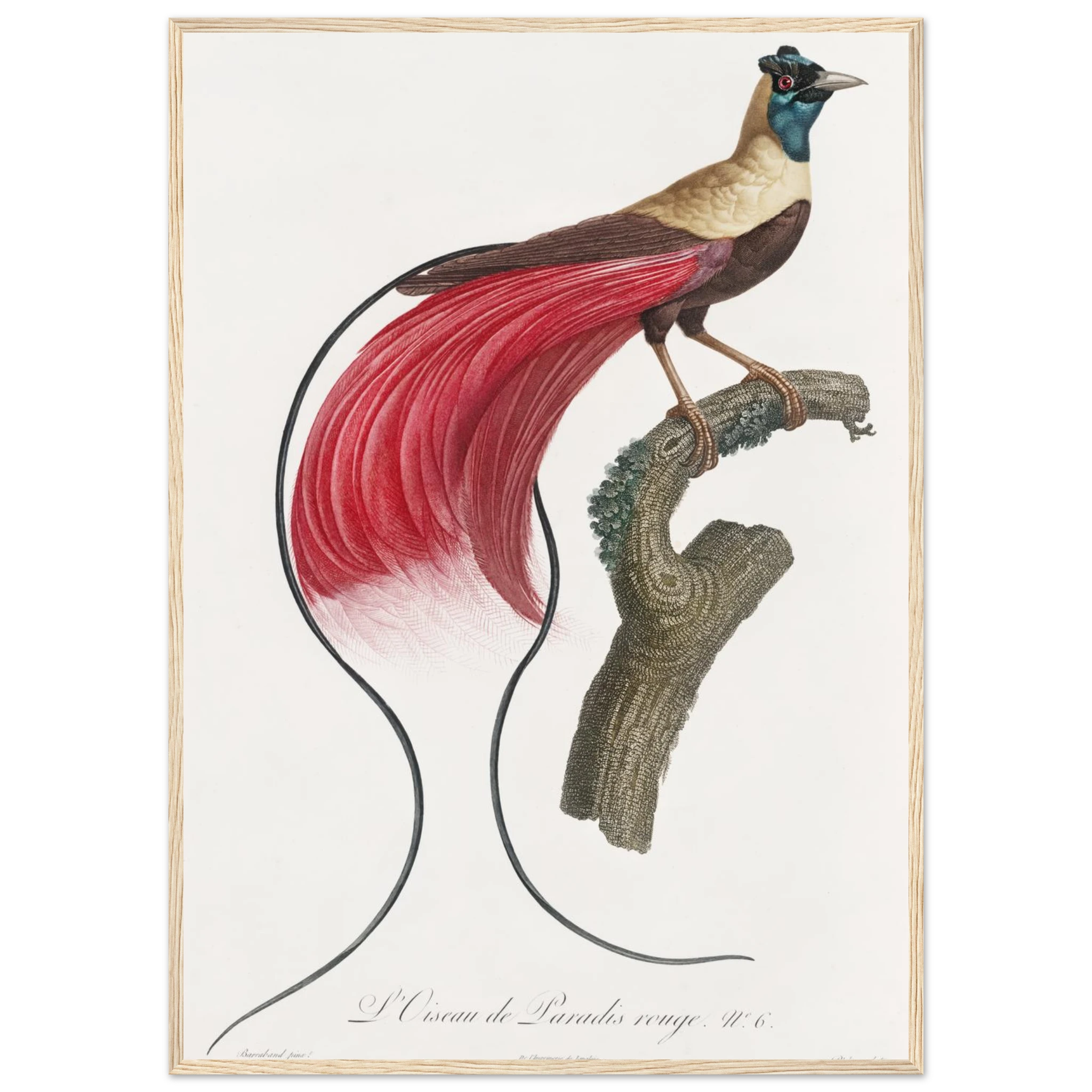 72cfa0dd-e602-4fd2-b836-fe2706695d80