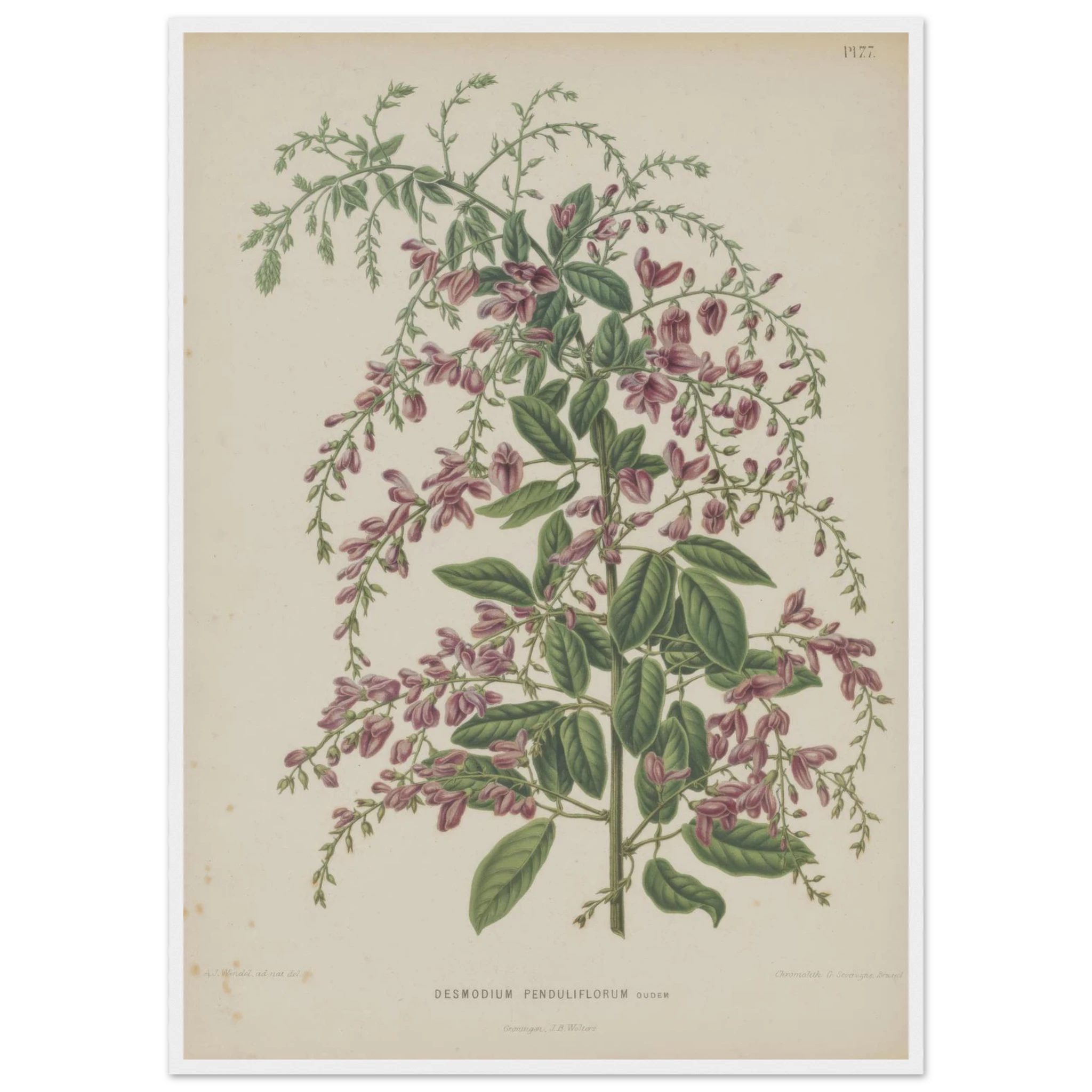 7365238f-1fb4-4d0b-a391-9de501c55960