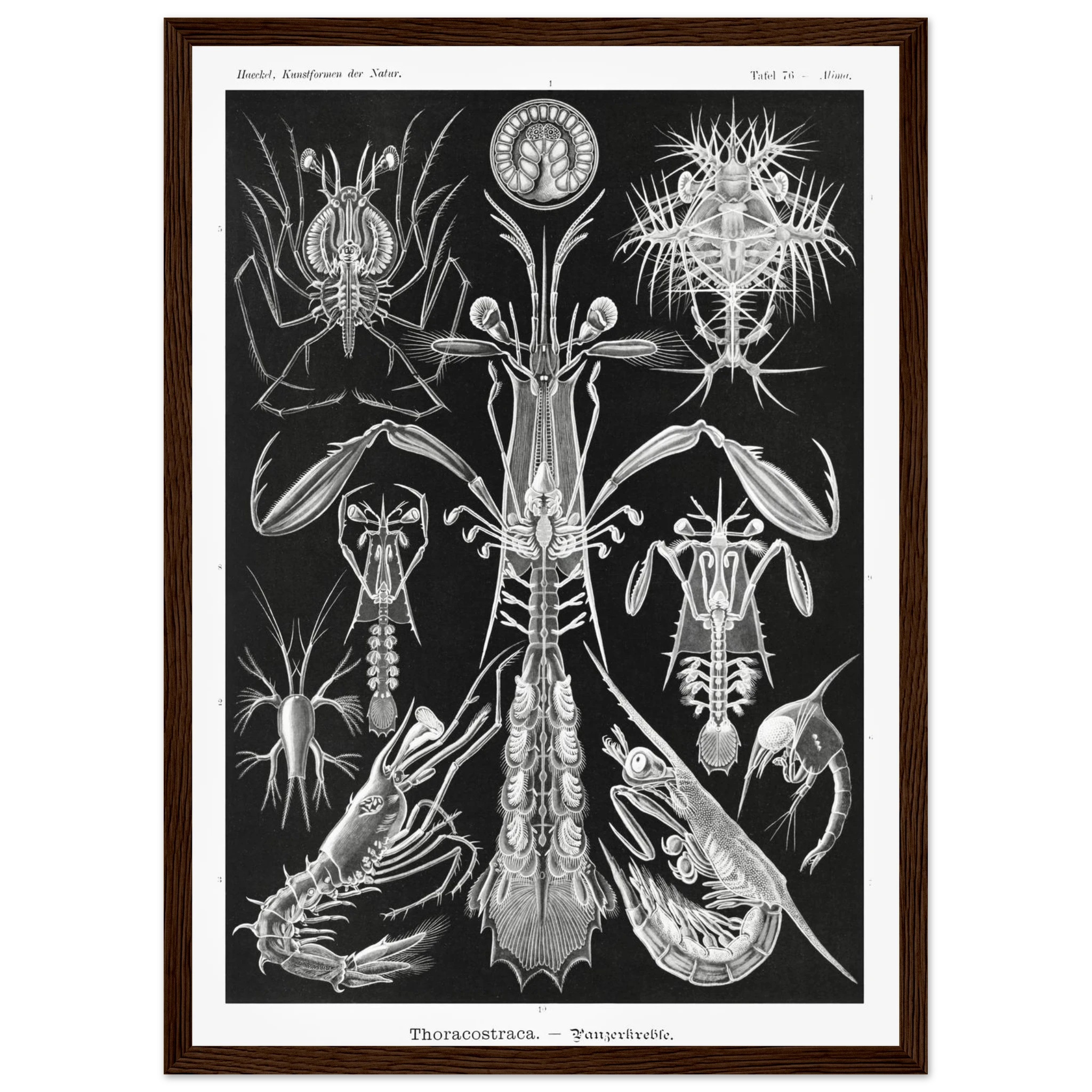 736d7352-ae9c-4a69-ac23-65df6155ea63