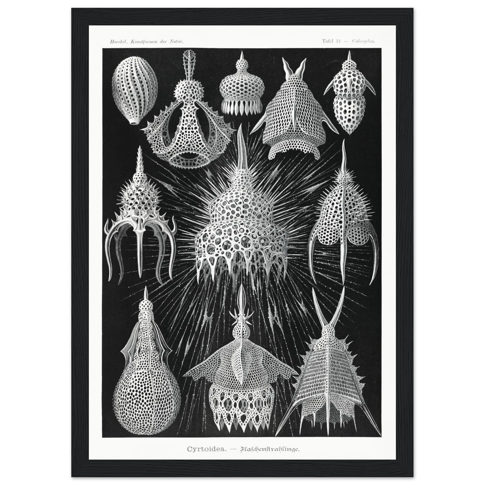 73d70ba6-92b5-43a9-80bc-506735dda68d