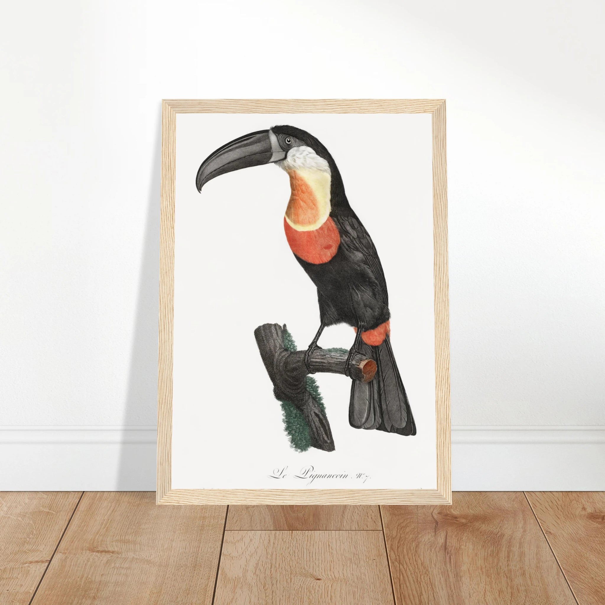 7433ba49-1386-4418-8efb-bc44e3e0e42b