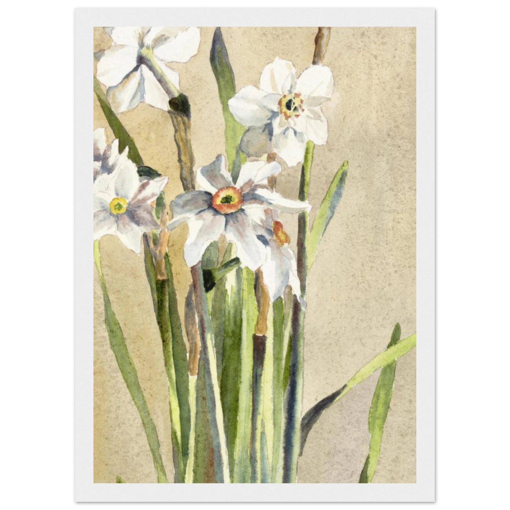 74a38ae3-ab37-4a20-a1c7-81e3e63ed29e