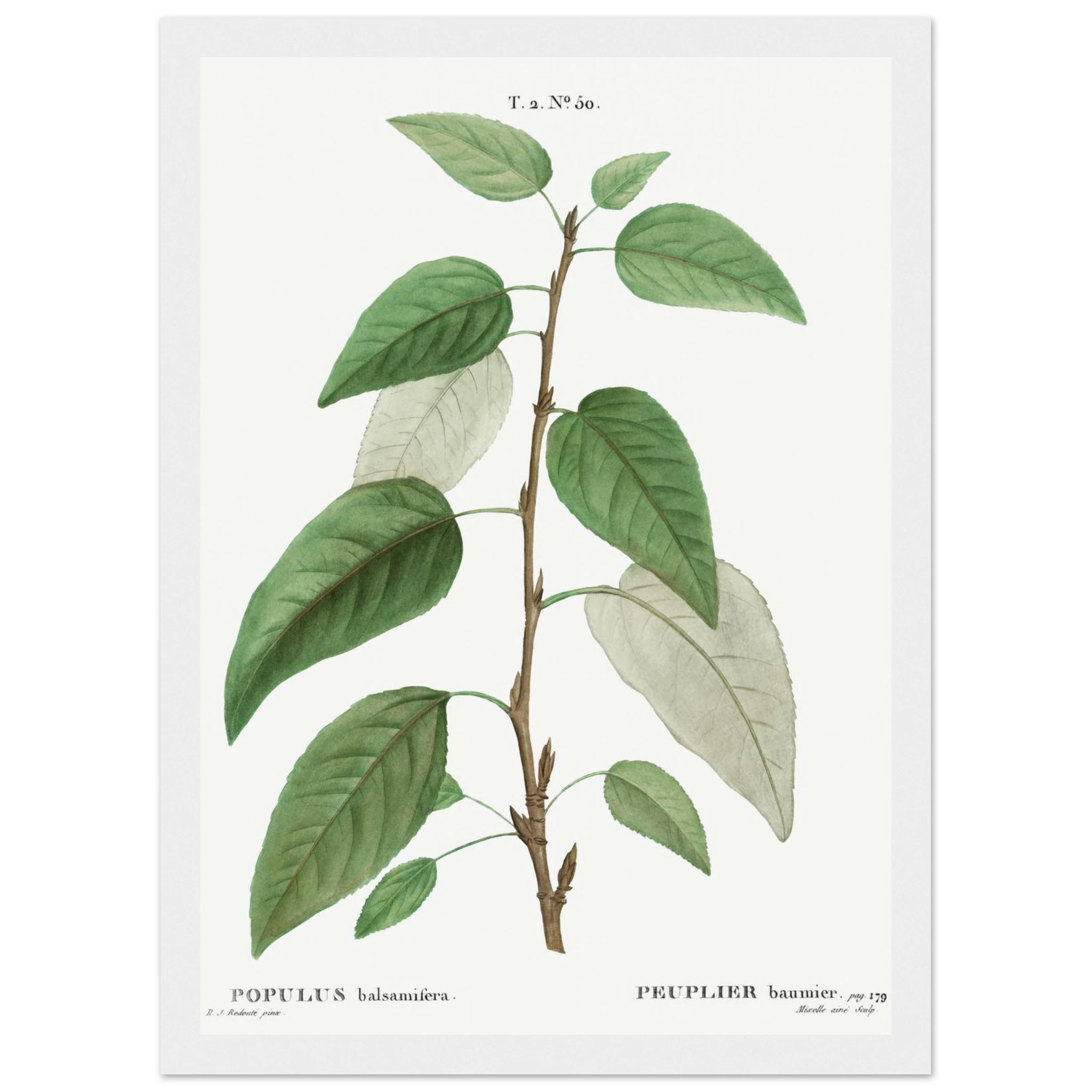 74cfe477-aaf7-45ab-9a63-c387fee8e721