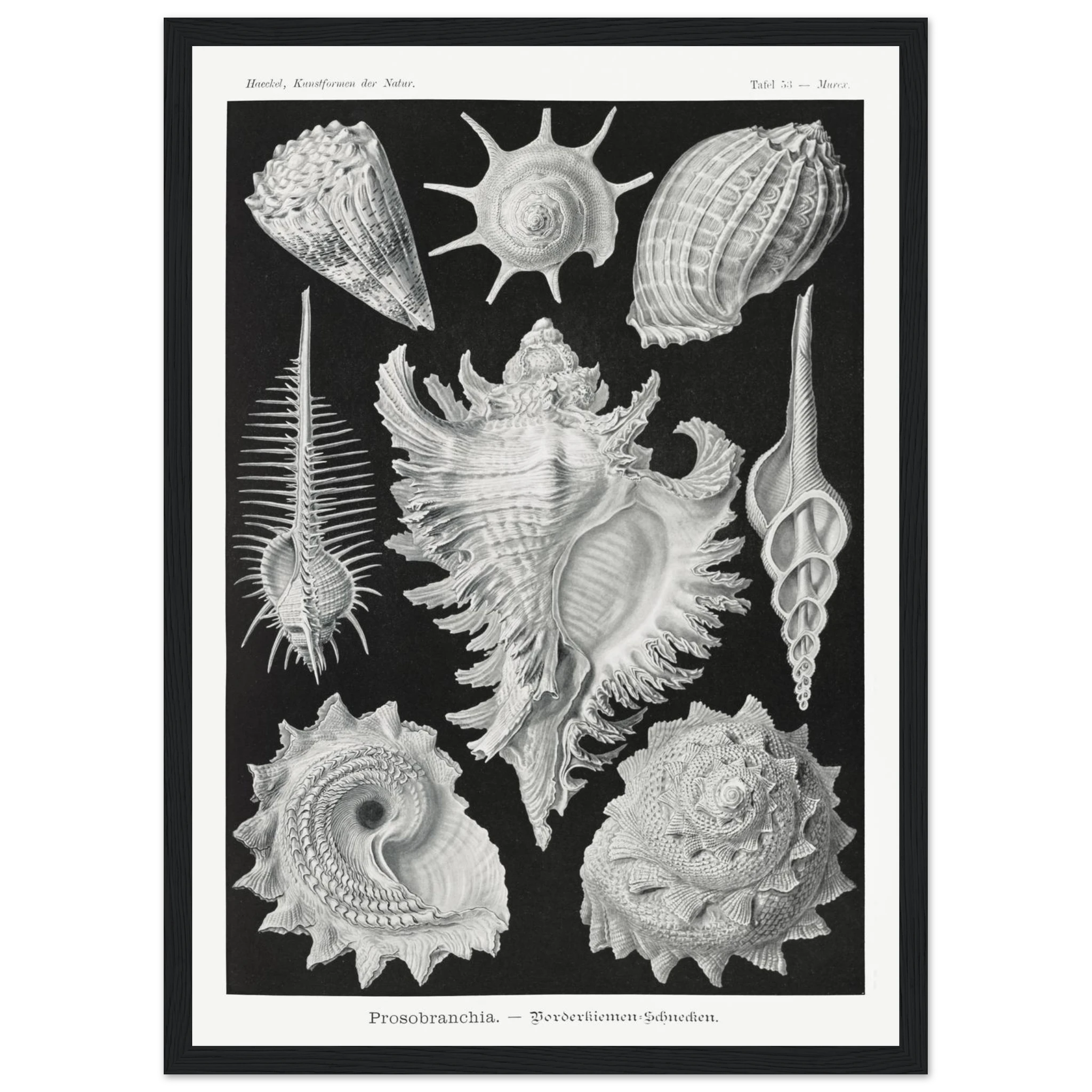 74d07fe2-6a1b-45c7-bff8-f5ab47bcb583