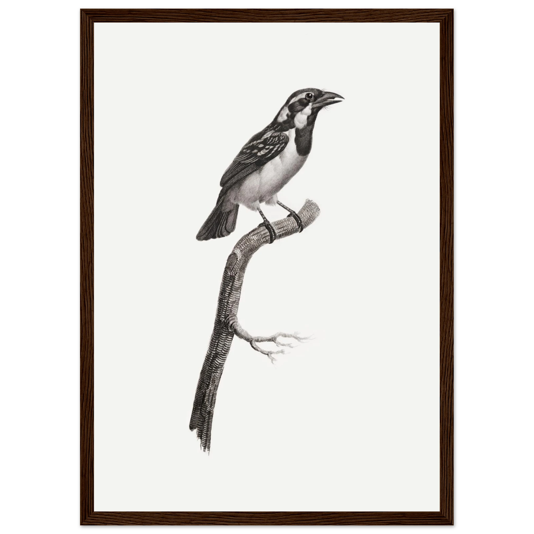 751e3bb3-8863-46be-9572-d0e6cc3516bc