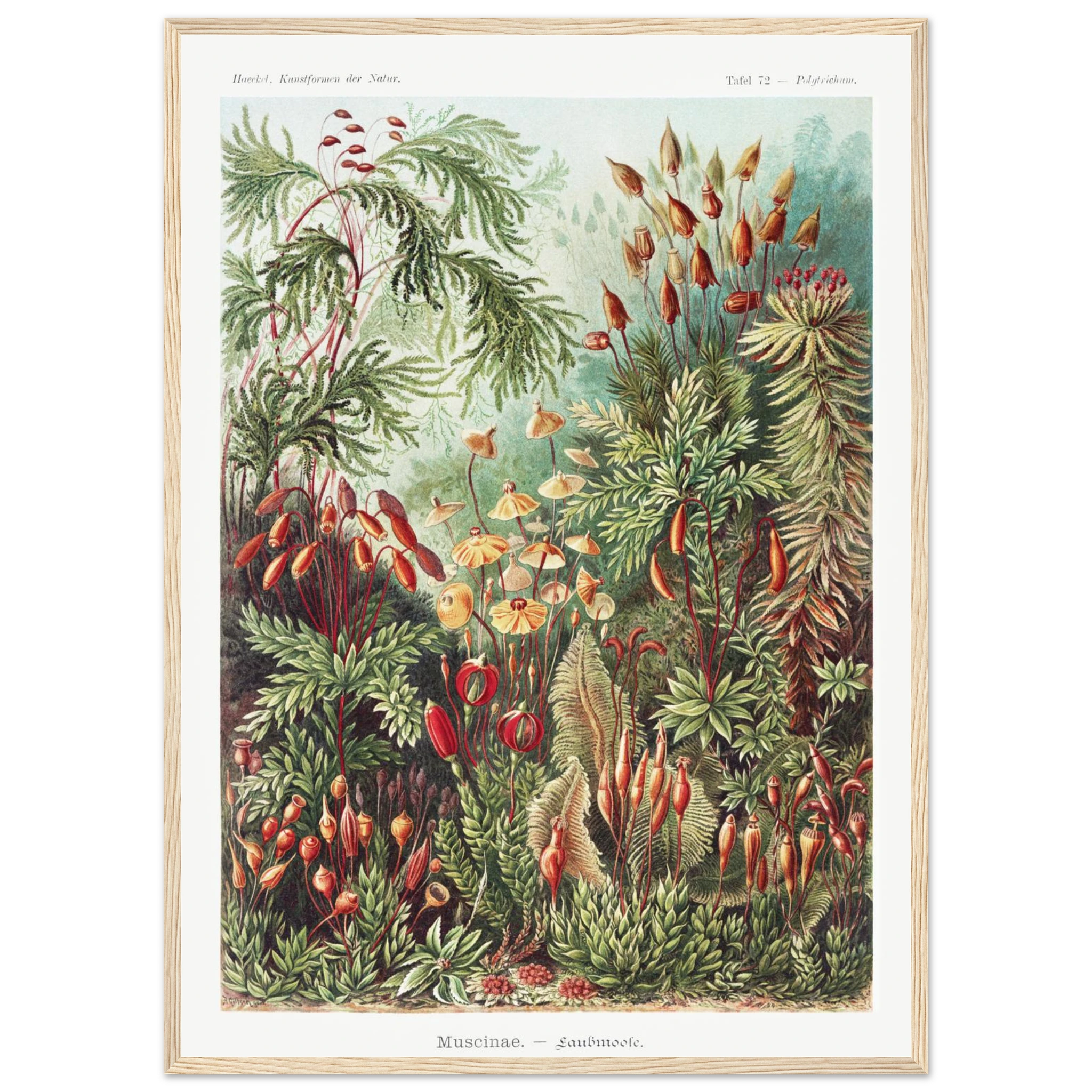 7565271a-64b1-4700-97fd-e38885c62032