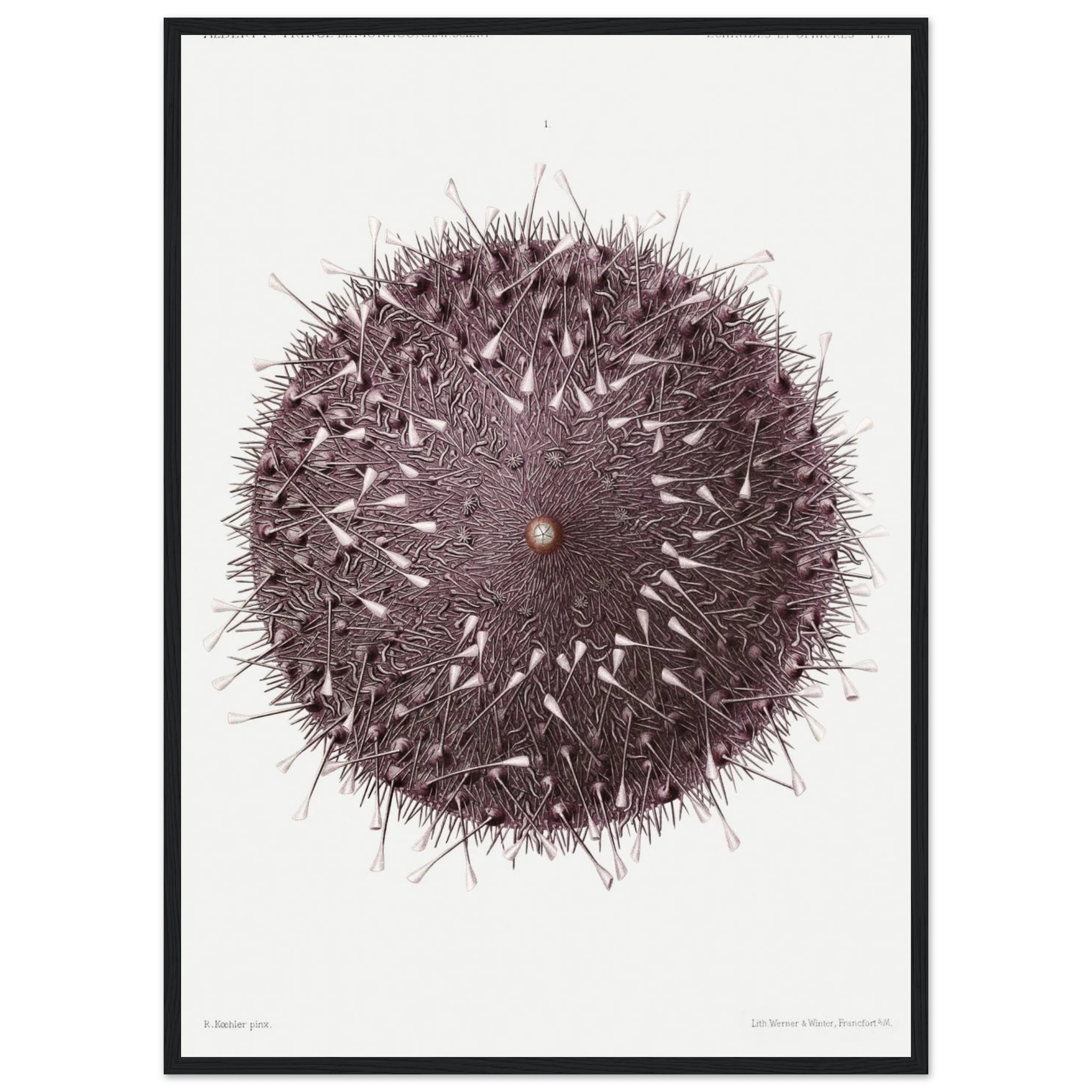 7586502d-fa24-4539-84d4-3a1027765cda