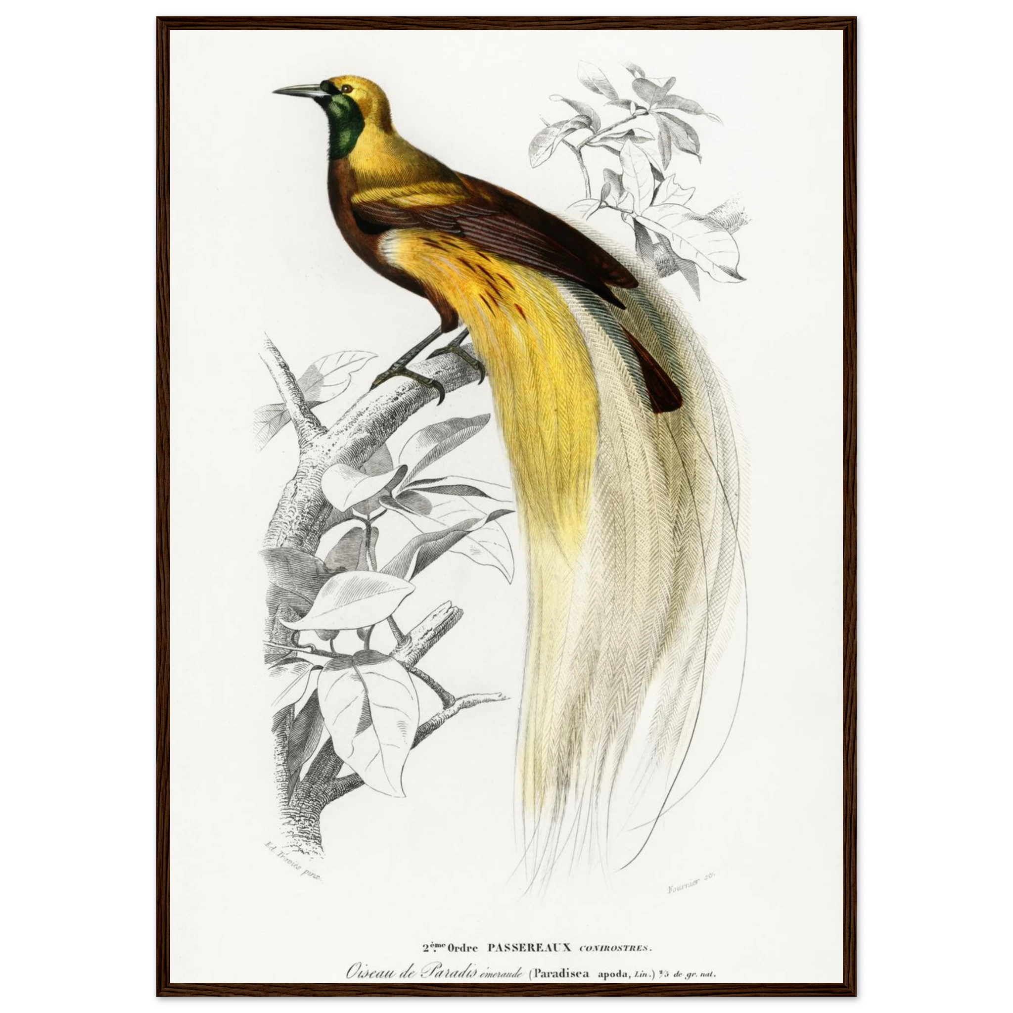 7587341f-9649-4bad-8df5-61dee56b9dbc