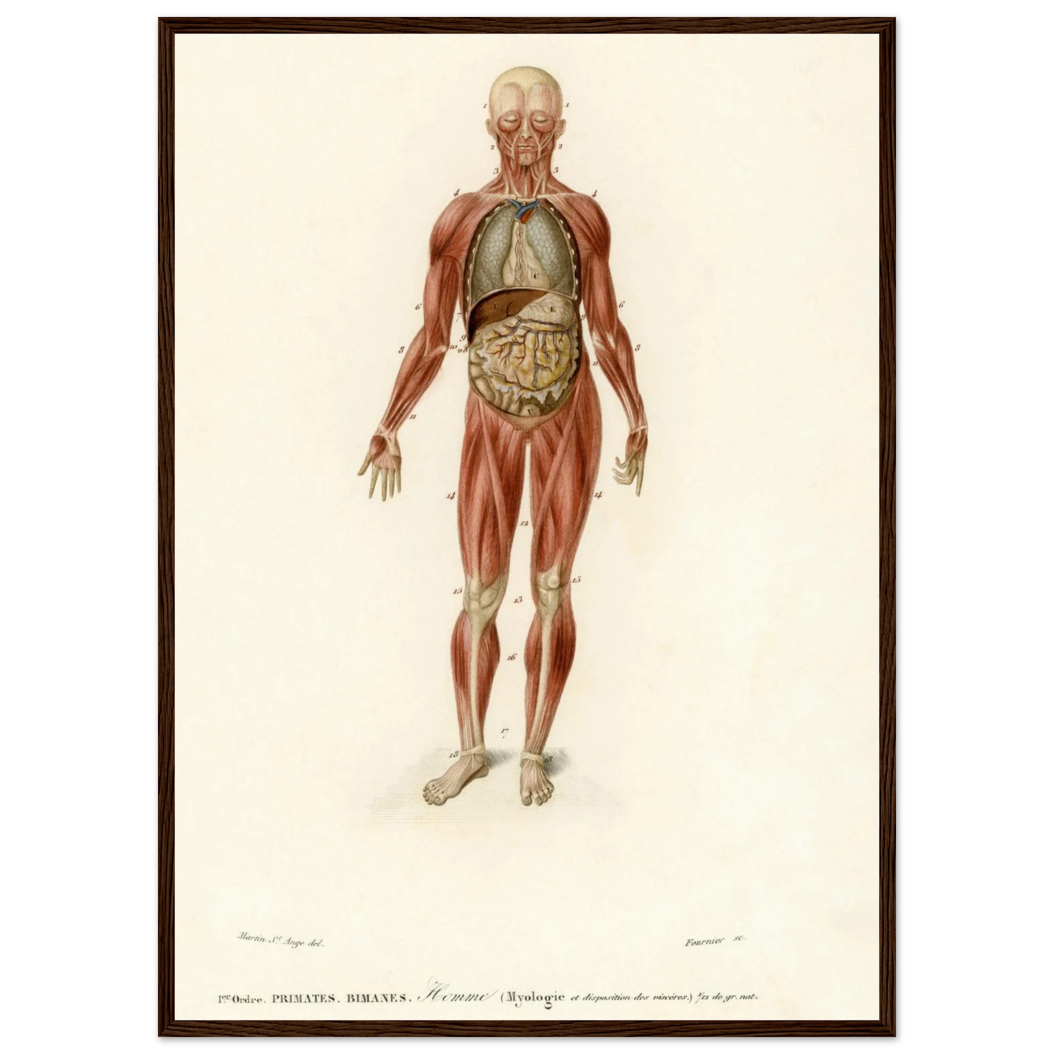 75b6a61d-f5e7-4318-9c61-9195419df39f