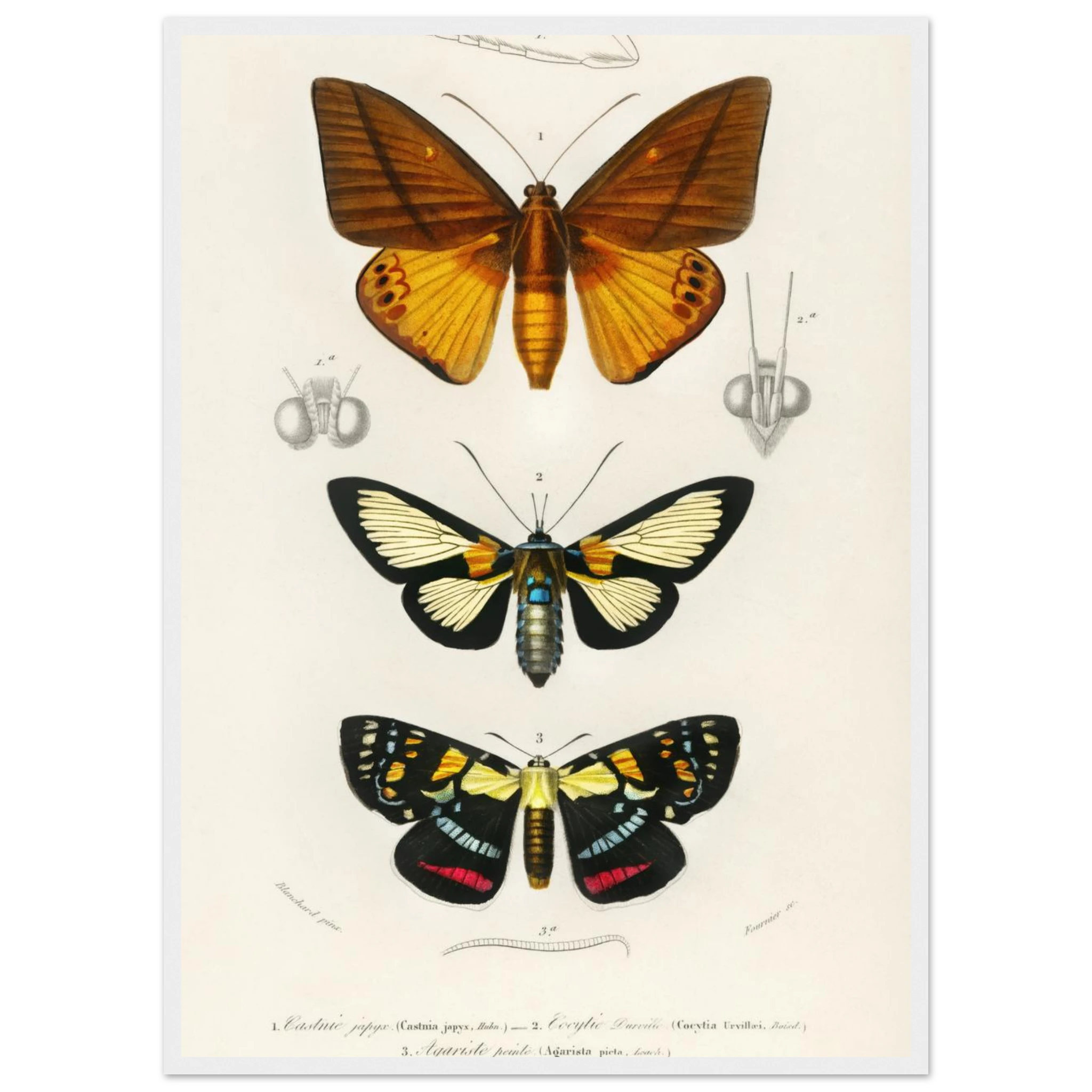 764b9675-dc13-4f5f-9a32-e9a33f14cf80